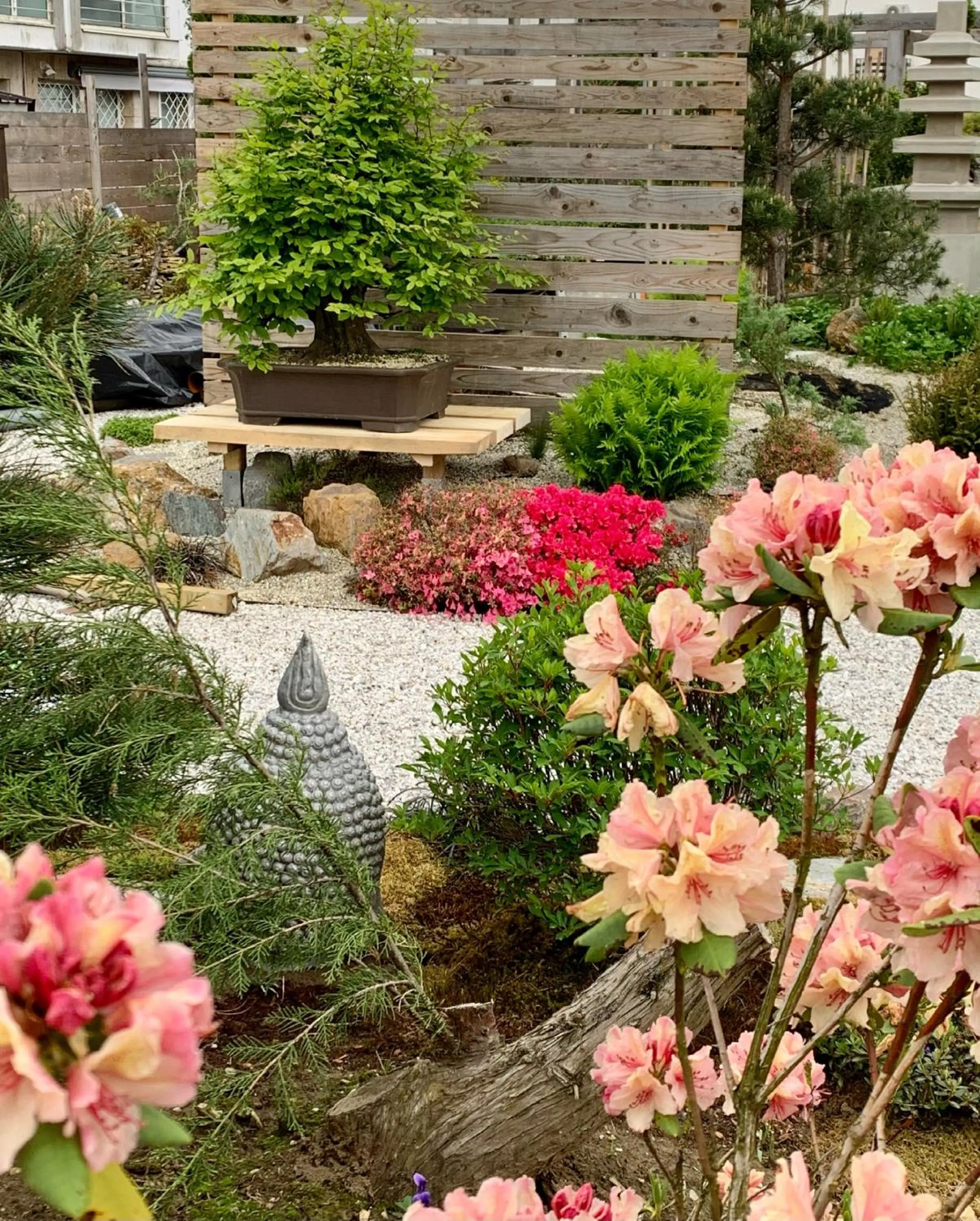 Garden in Hotel Maj Inn