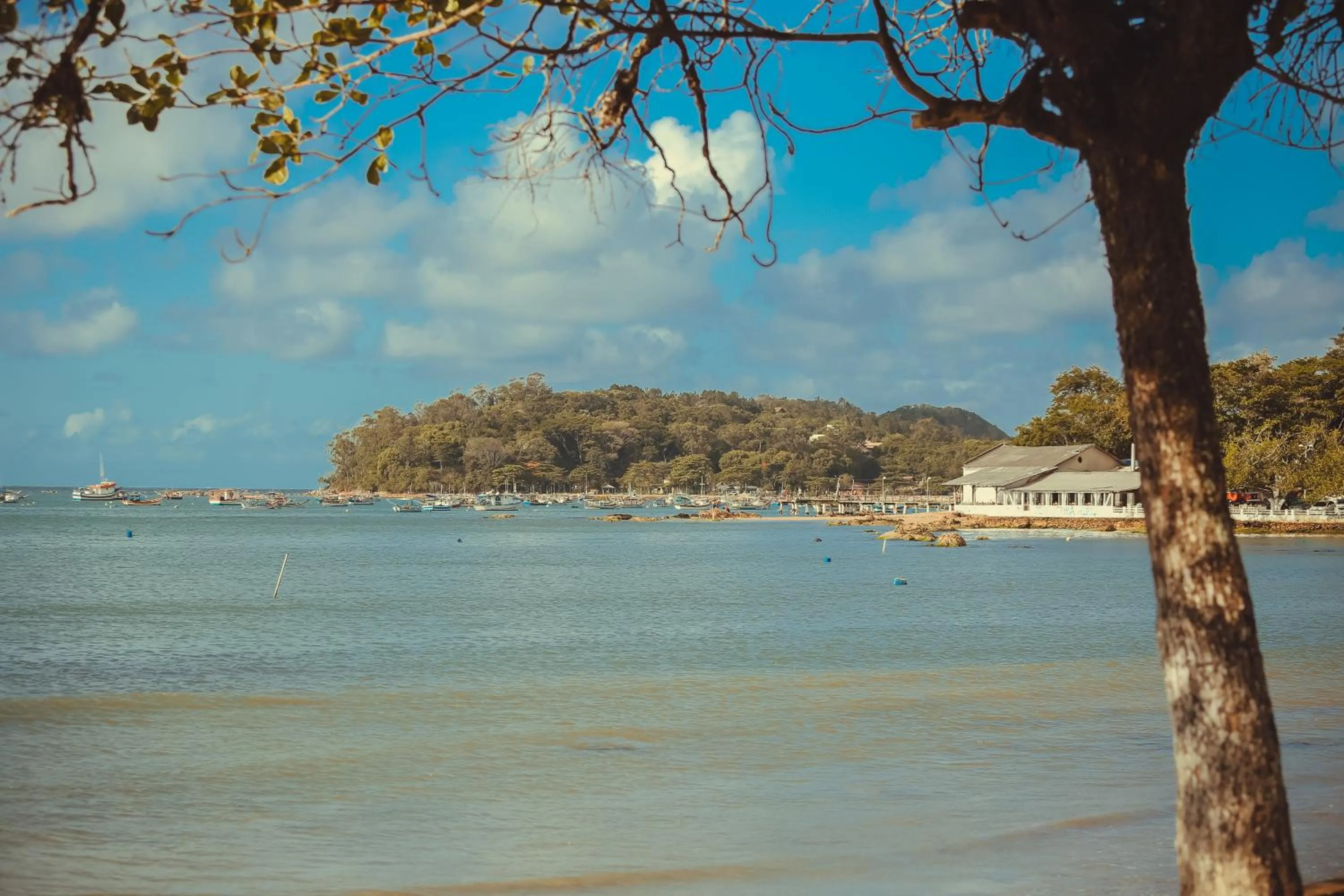 Beach in Hotel Açoriano