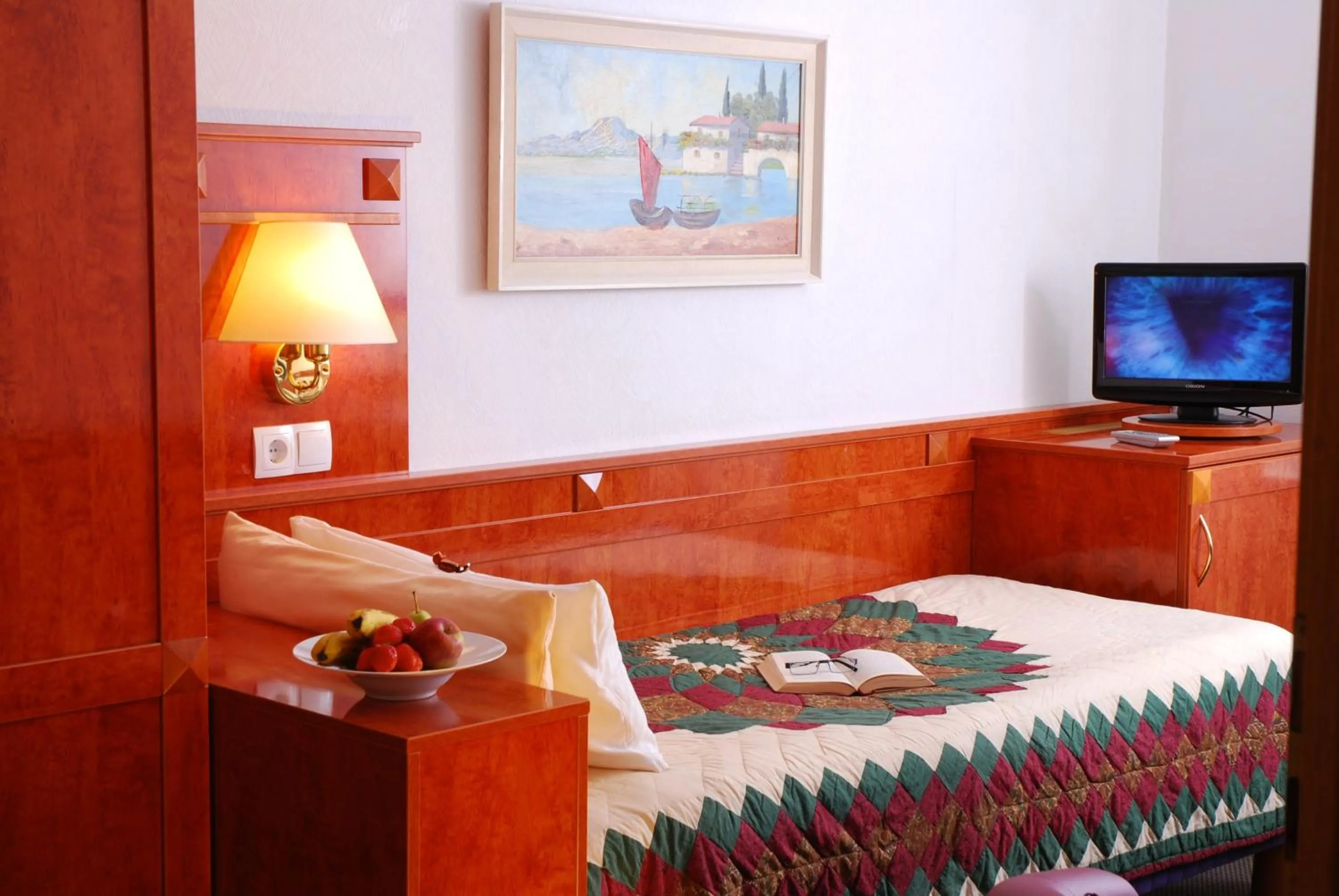 Single Room in Hotel ZUM TURM