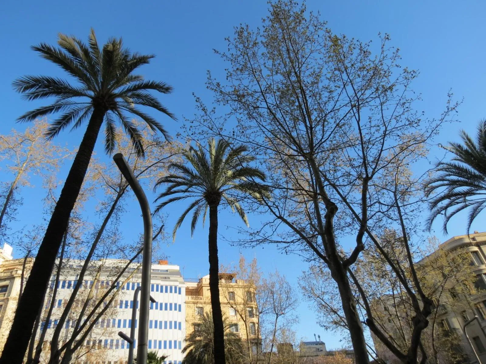 Neighbourhood in Hostal Petit Príncep