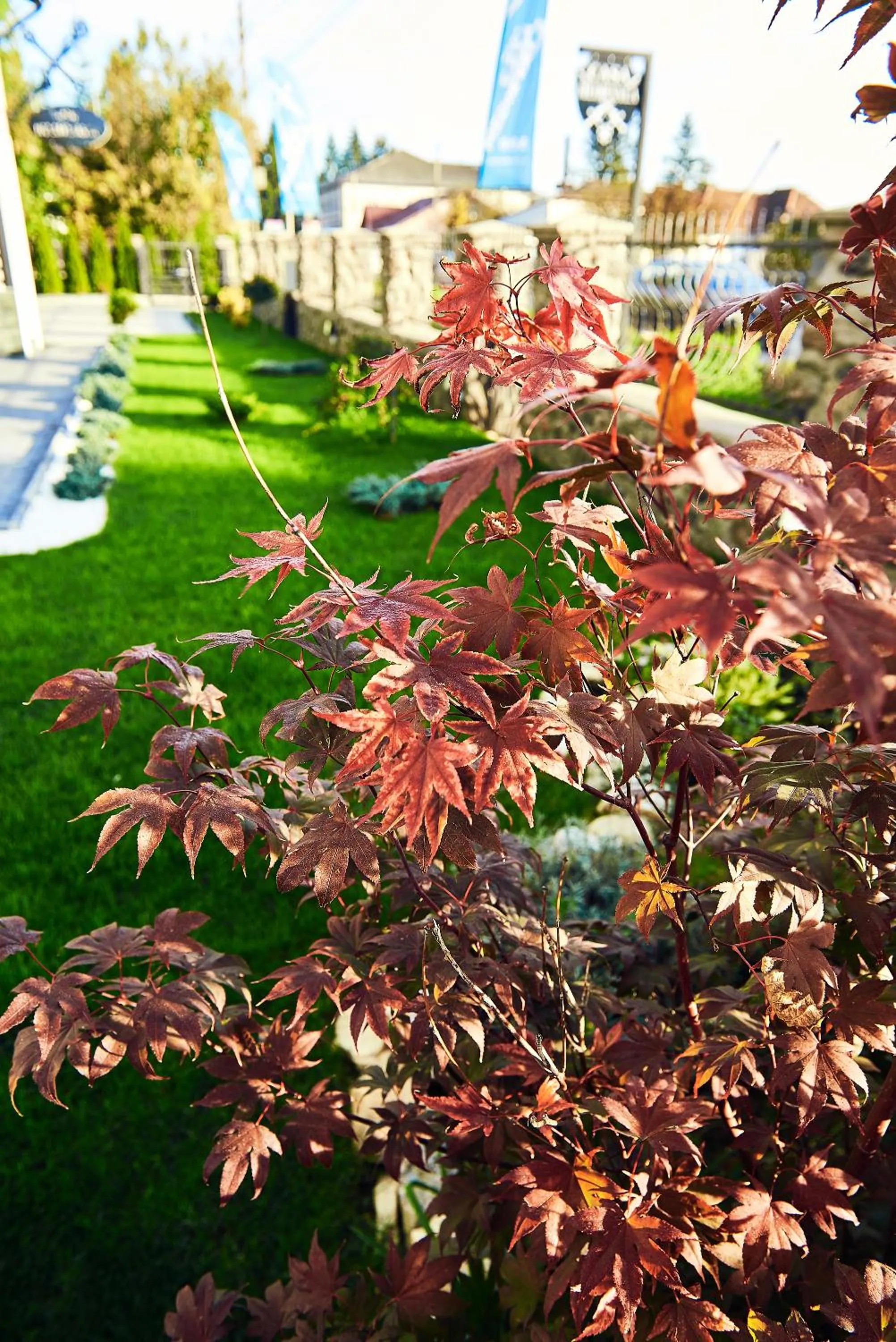 Natural landscape in Boutique Hotel Casa Medievala
