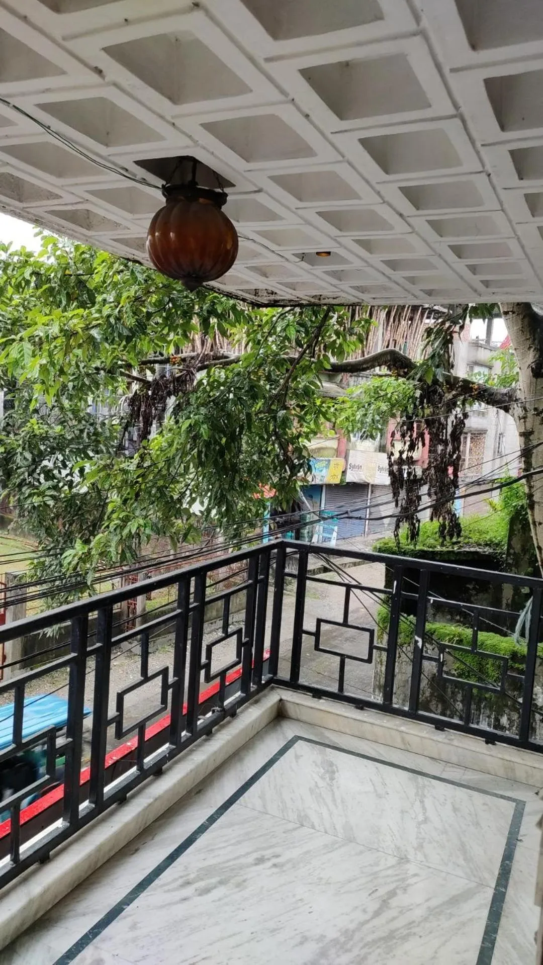 View (from property/room) in THE MAPLE