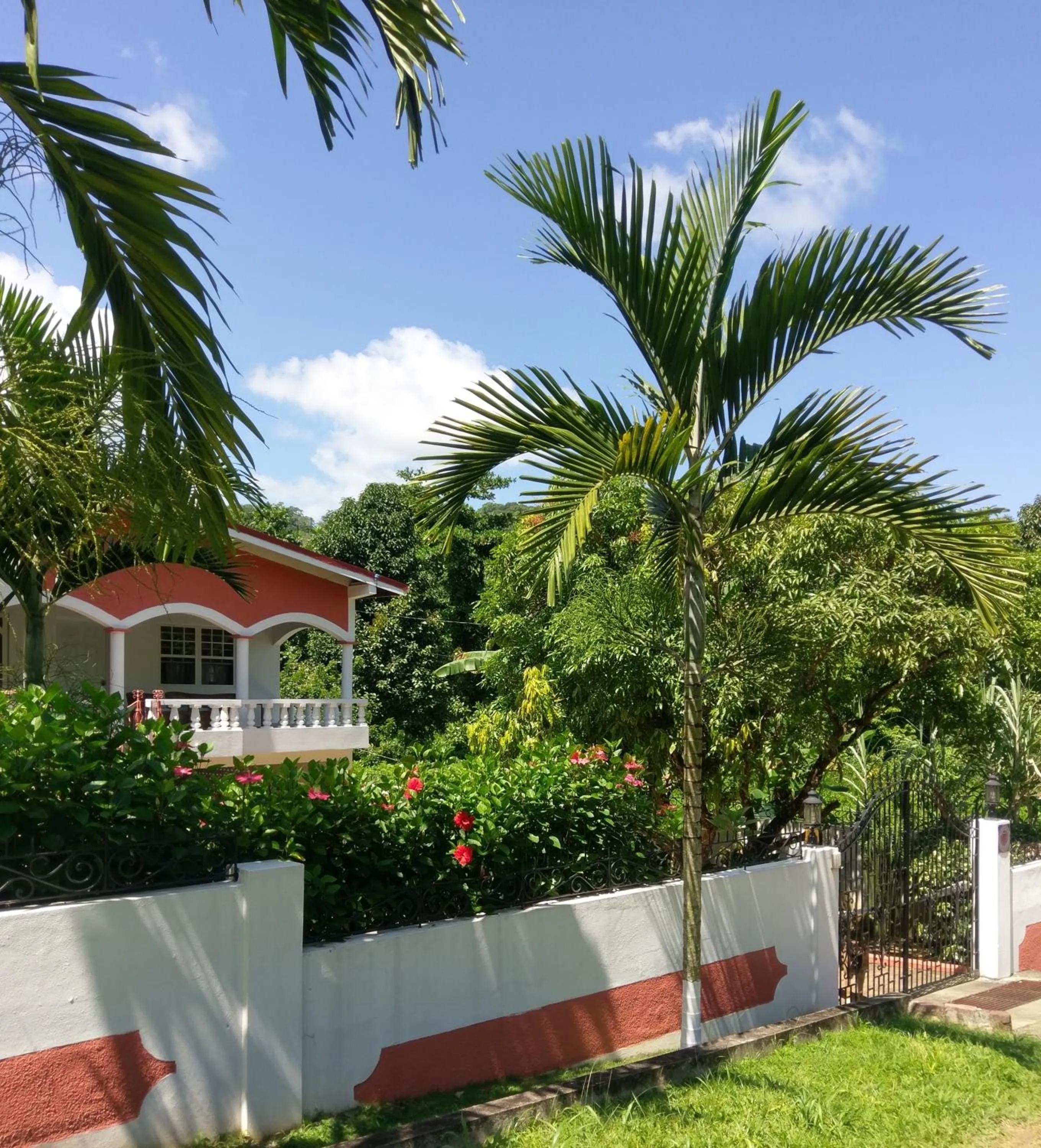 Garden in Polish Princess Guest House