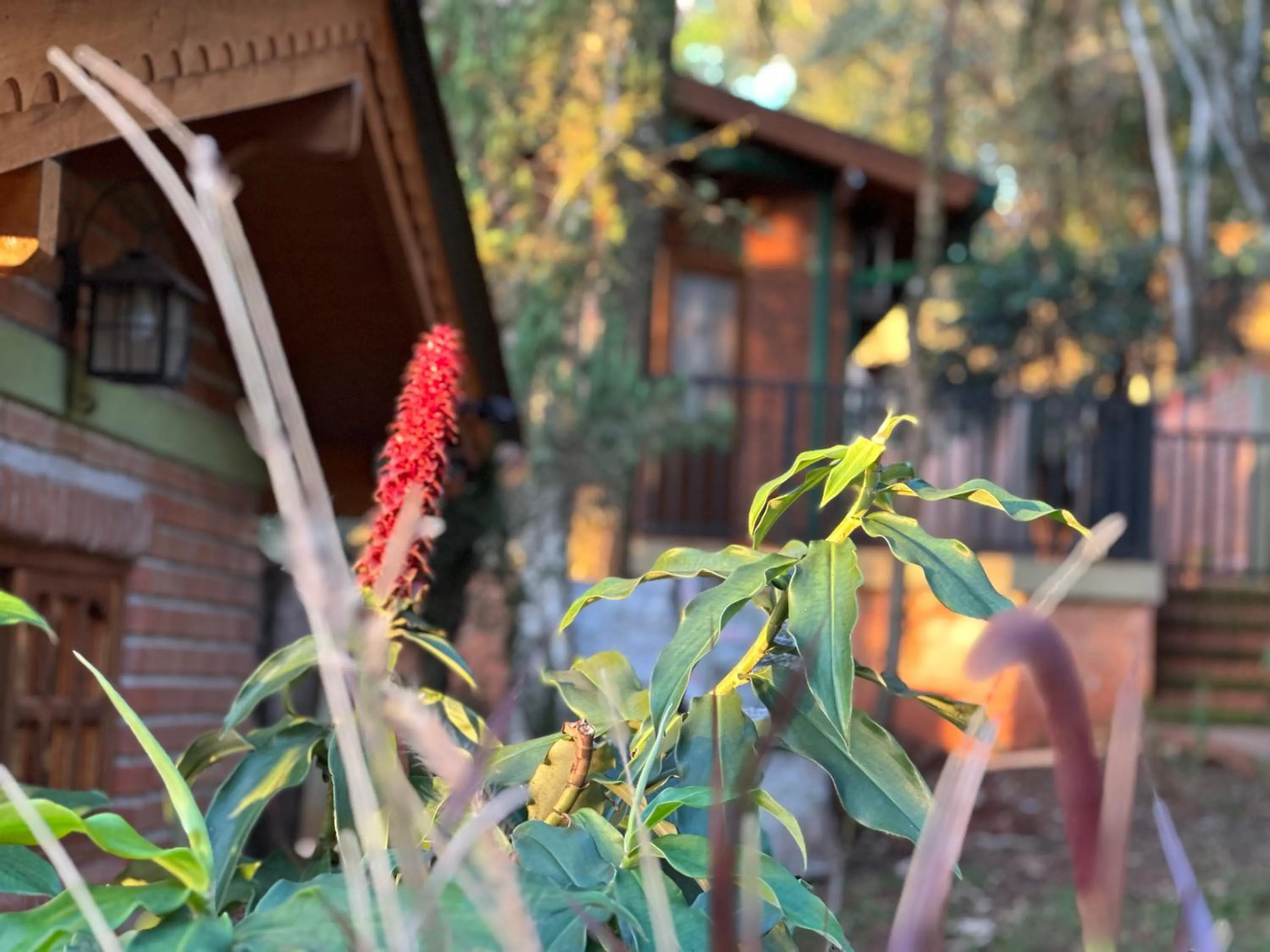 Property building in Costa del Sol Iguazú