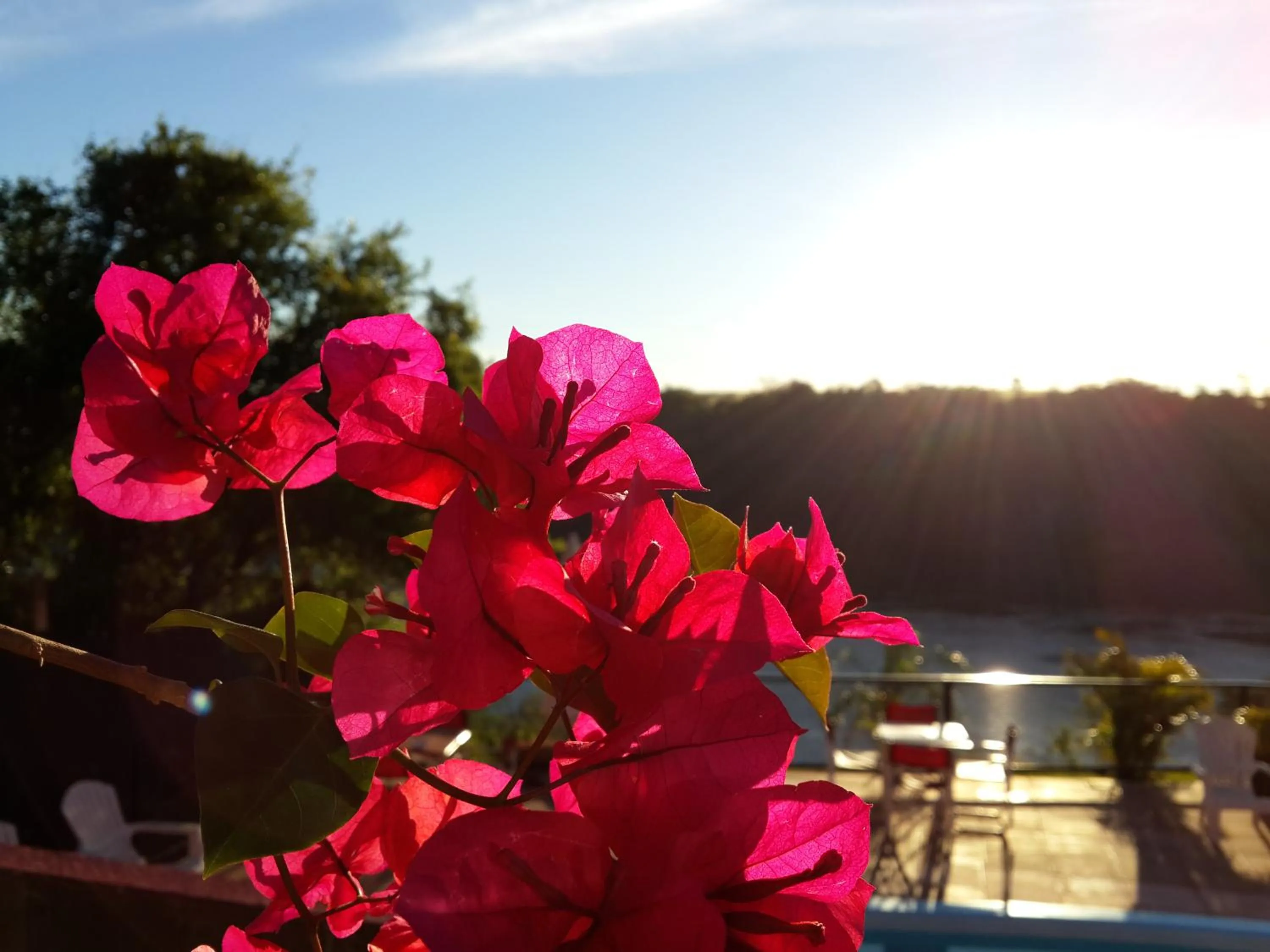 Spring in Costa del Sol Iguazú