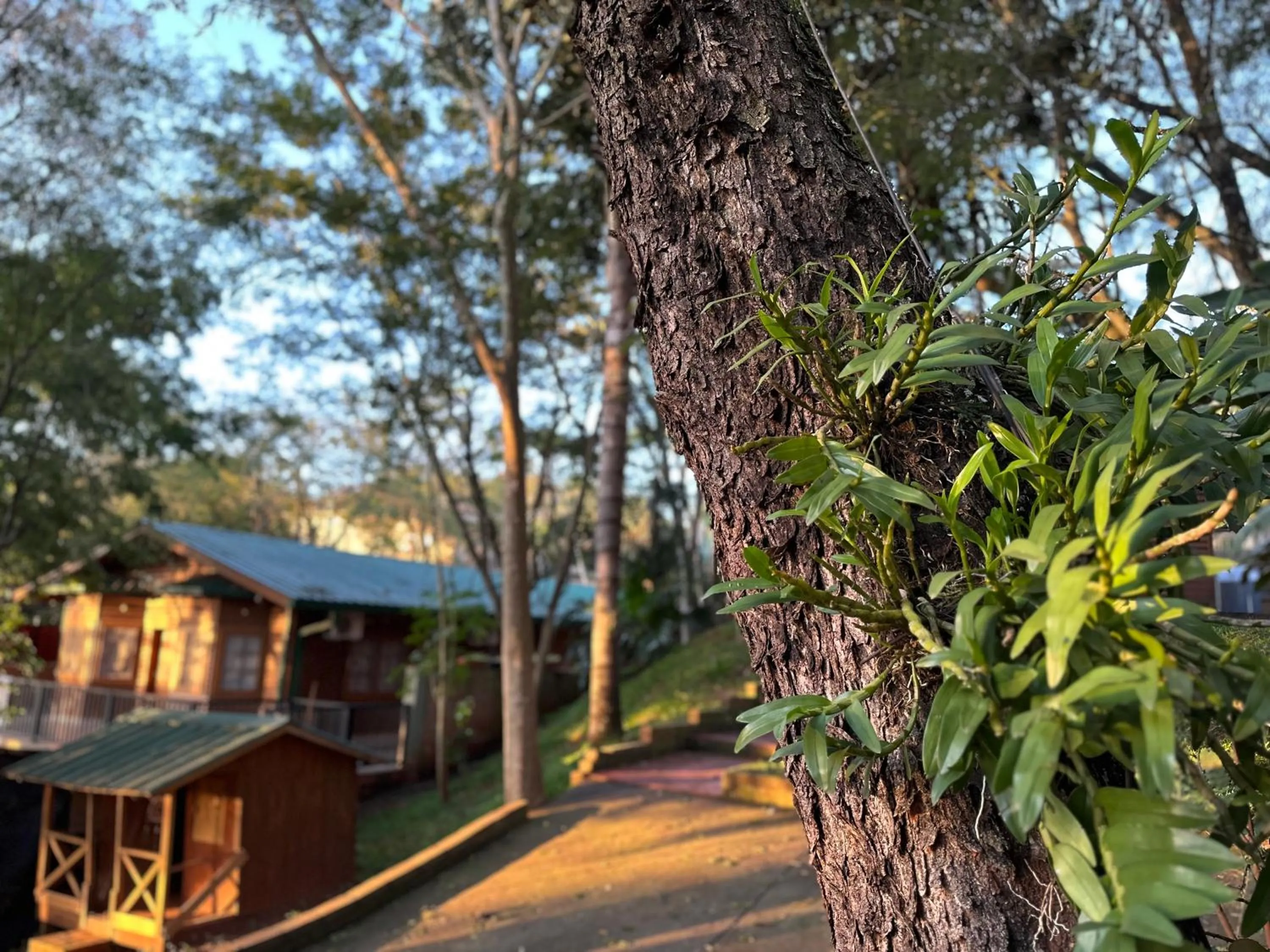 Garden in Costa del Sol Iguazú
