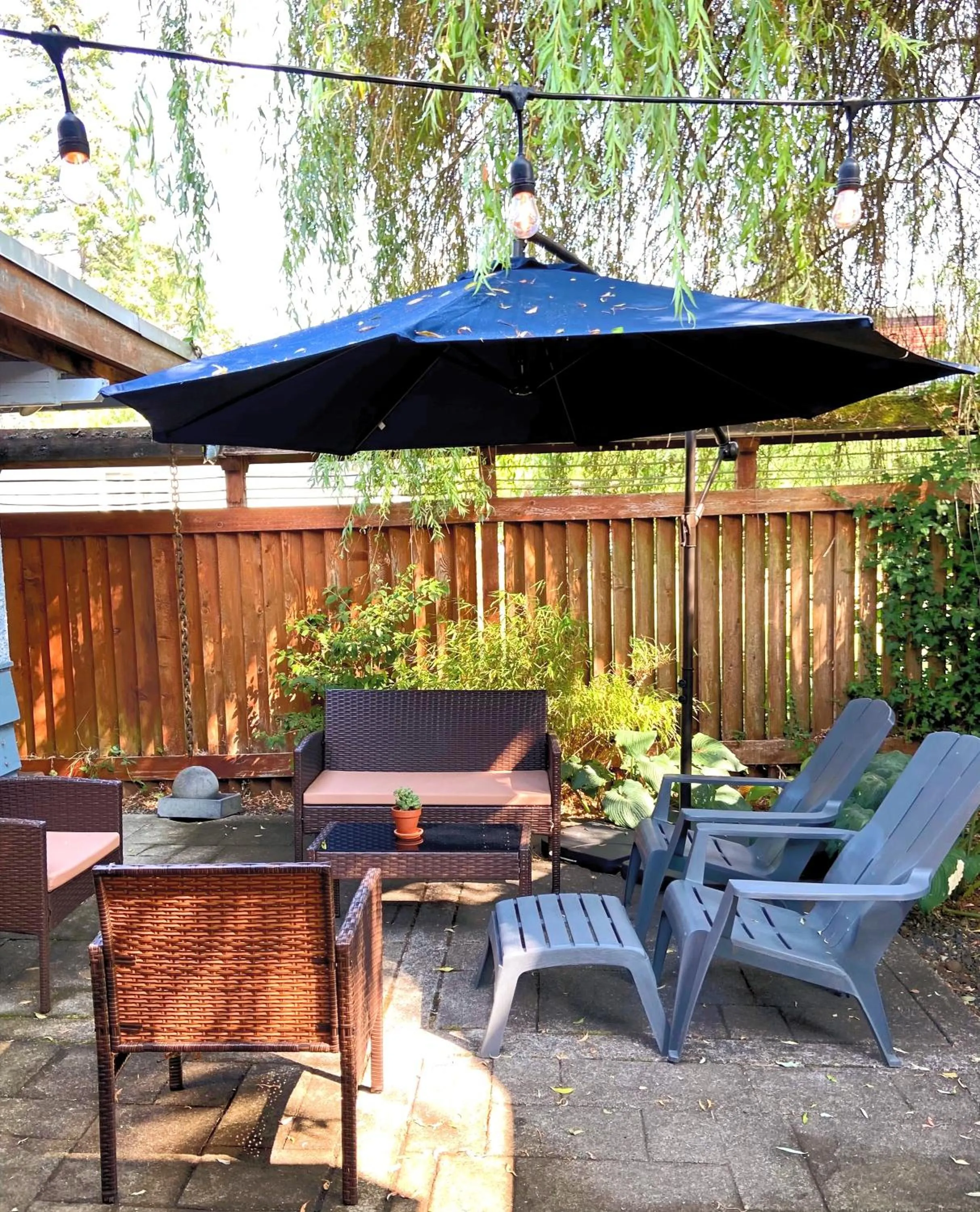 Patio in Wisteria Guest House