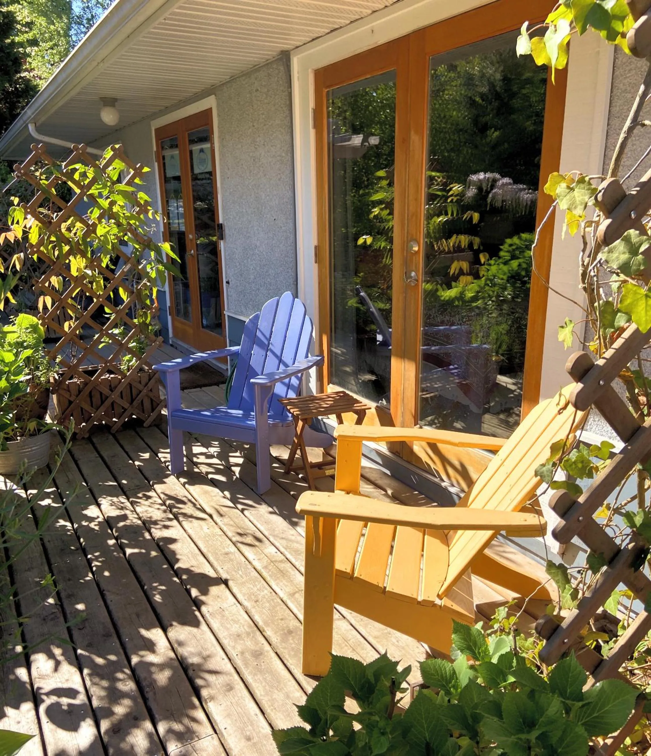 Patio in Wisteria Guest House