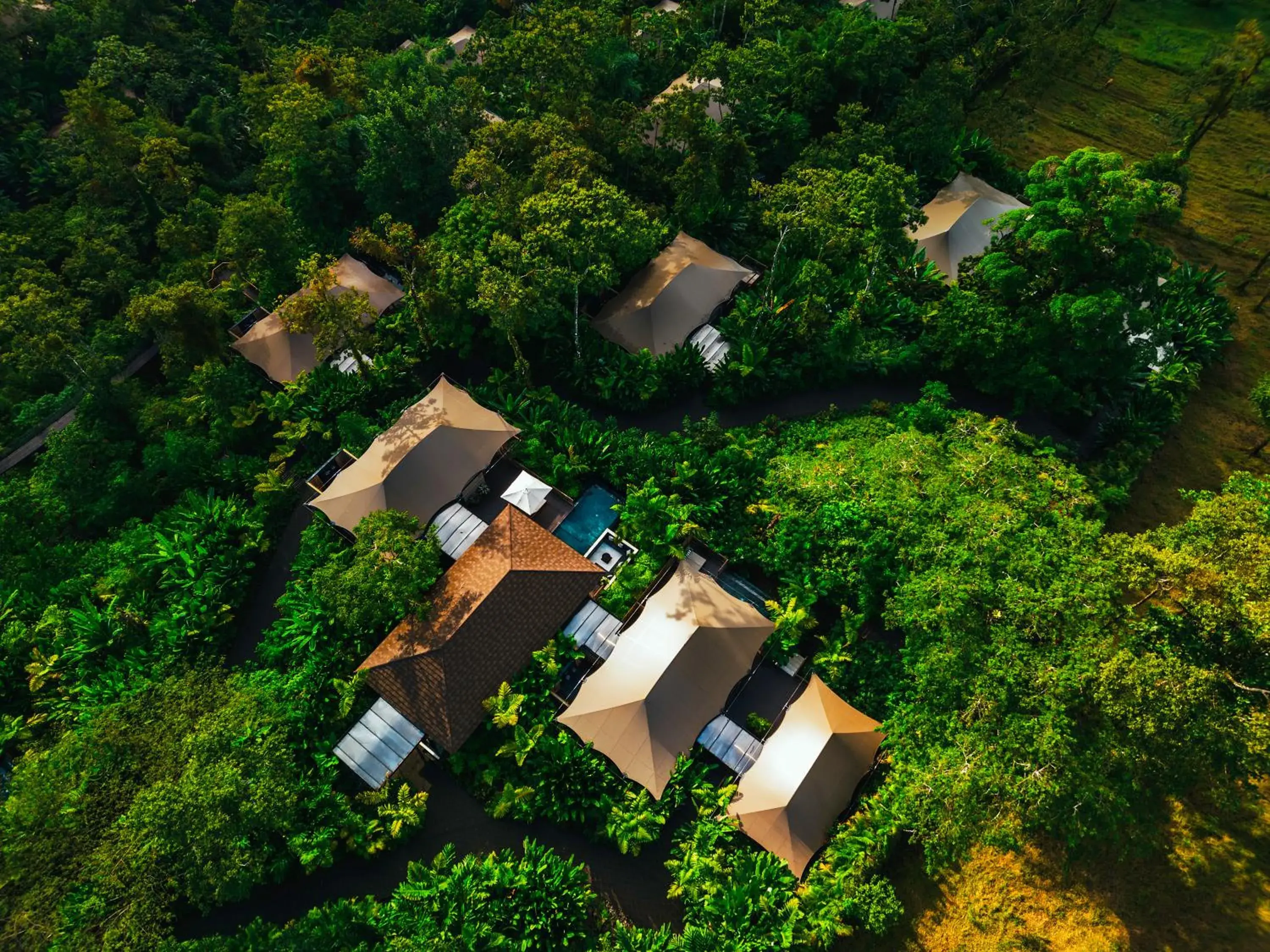 Area and facilities in Nayara Tented Camp Area and facilities in Nayara Tented Camp