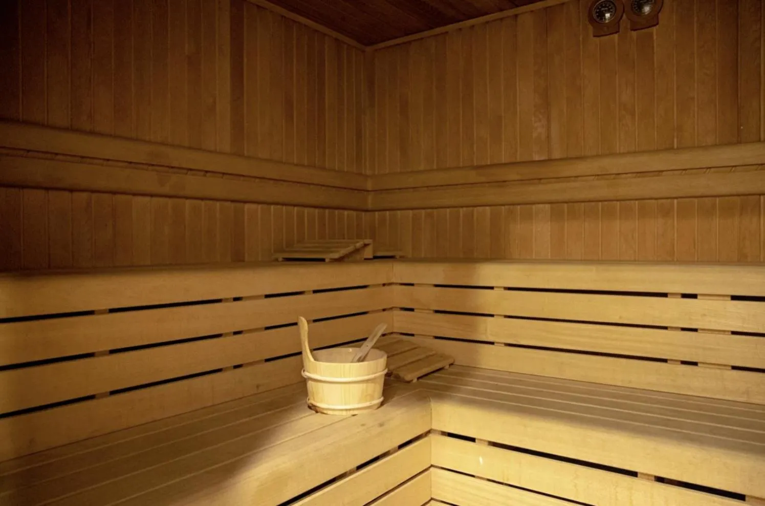 Sauna in Hilly Hotel
