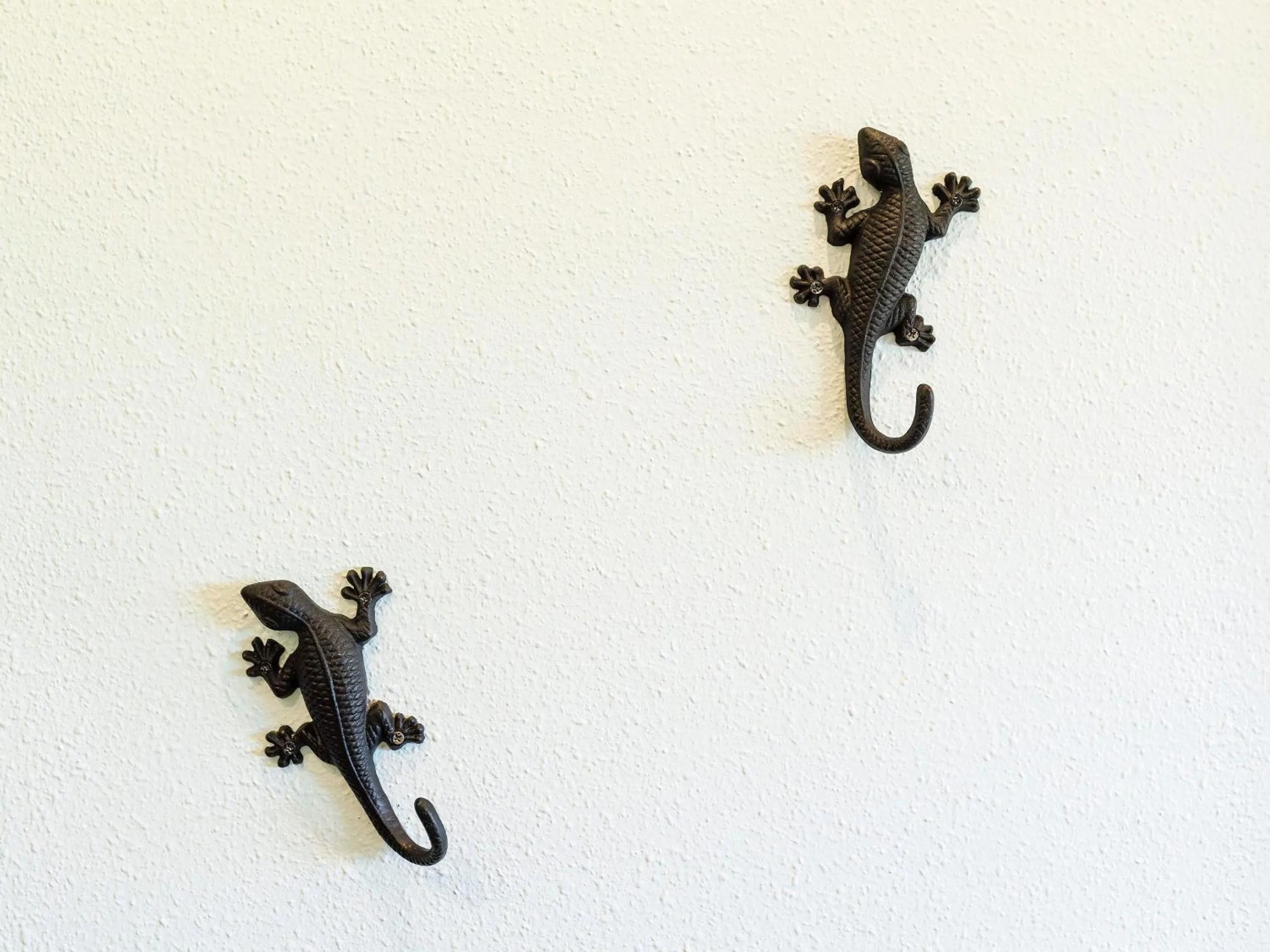 Photo of the whole room in Panorama