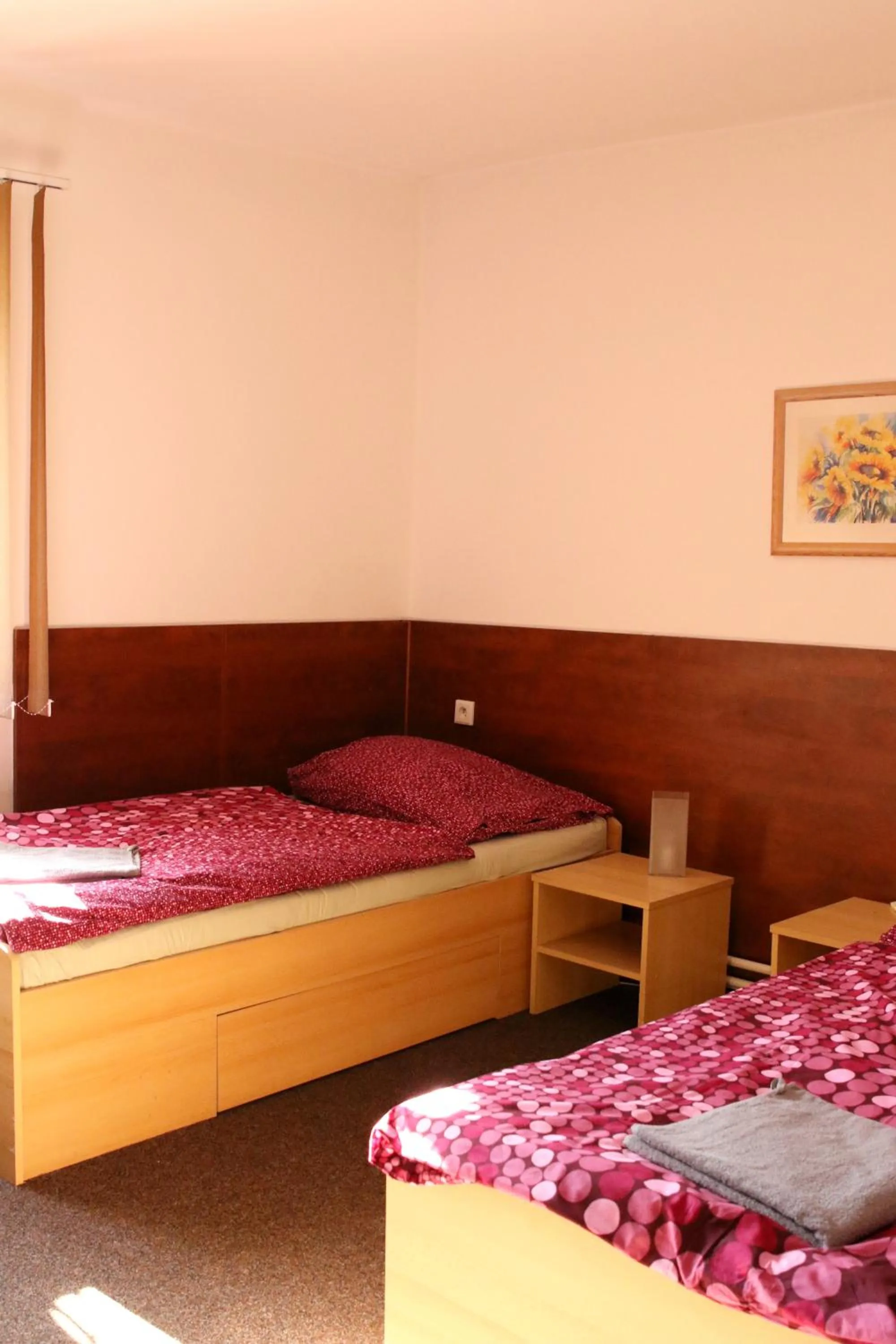 Bed in Penzion Vulture Havířov