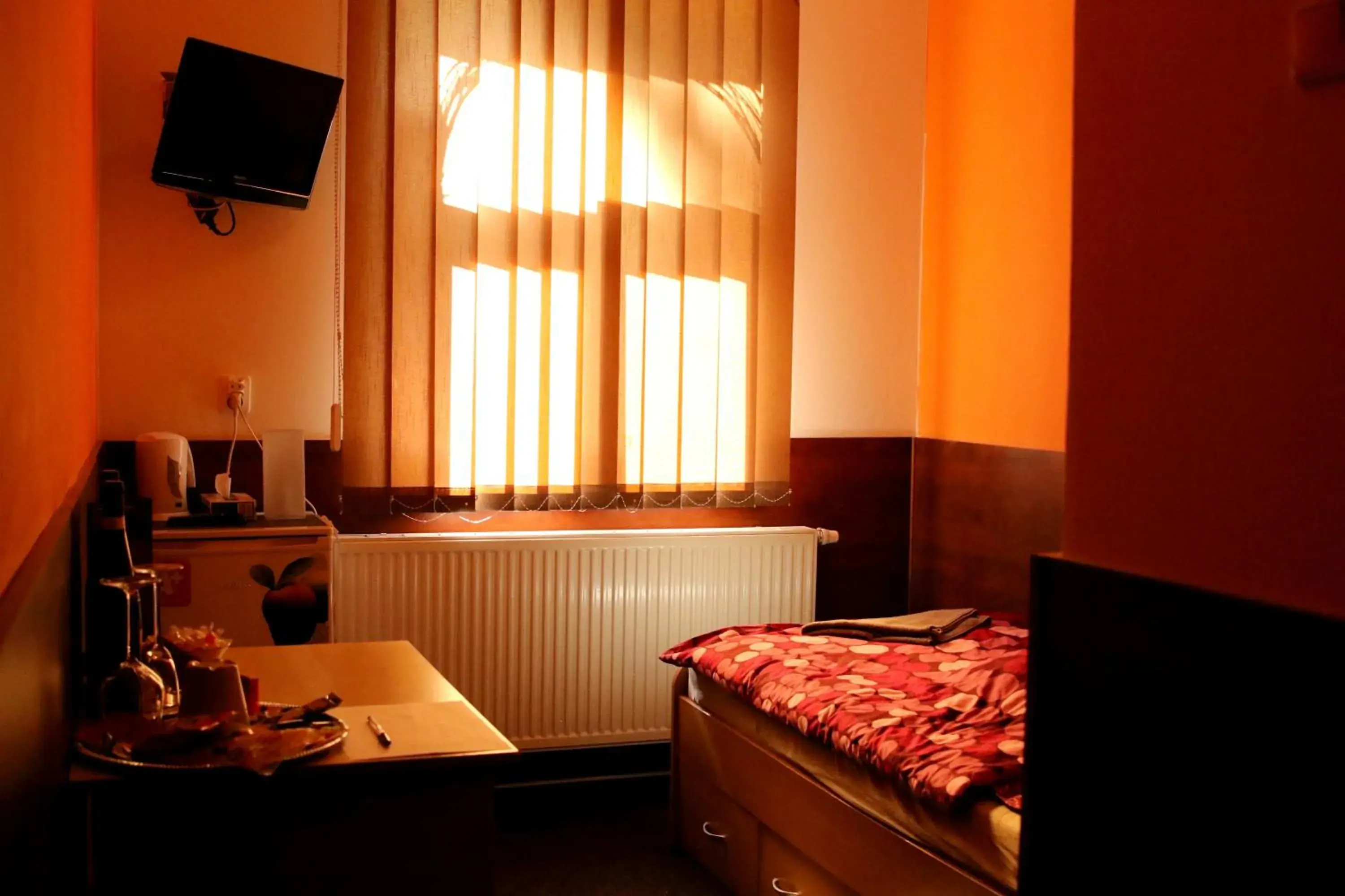 Single Room in Penzion Vulture Havířov Single Room in Penzion Vulture Havířov