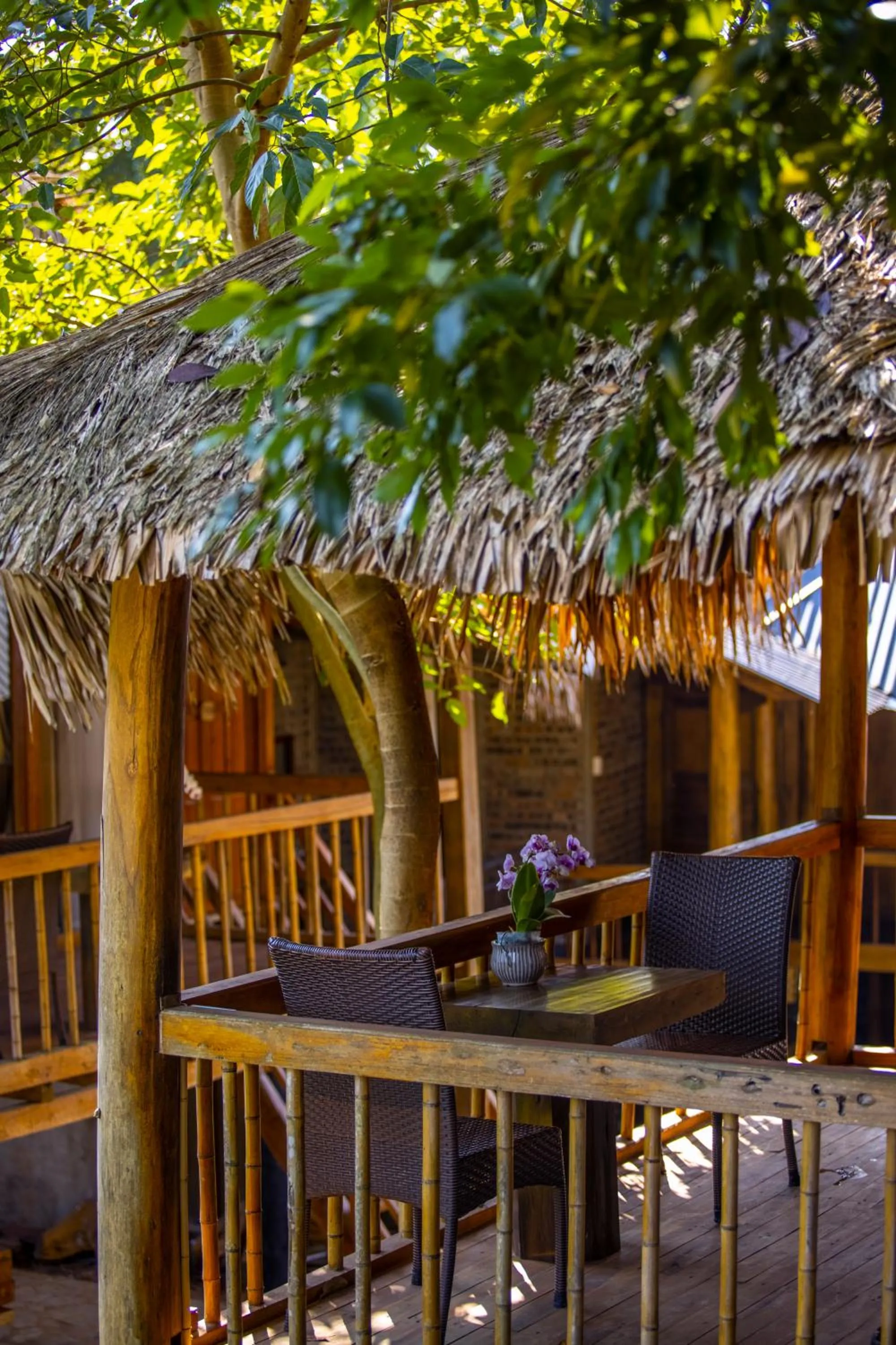 Property building in Pu Luong Natura