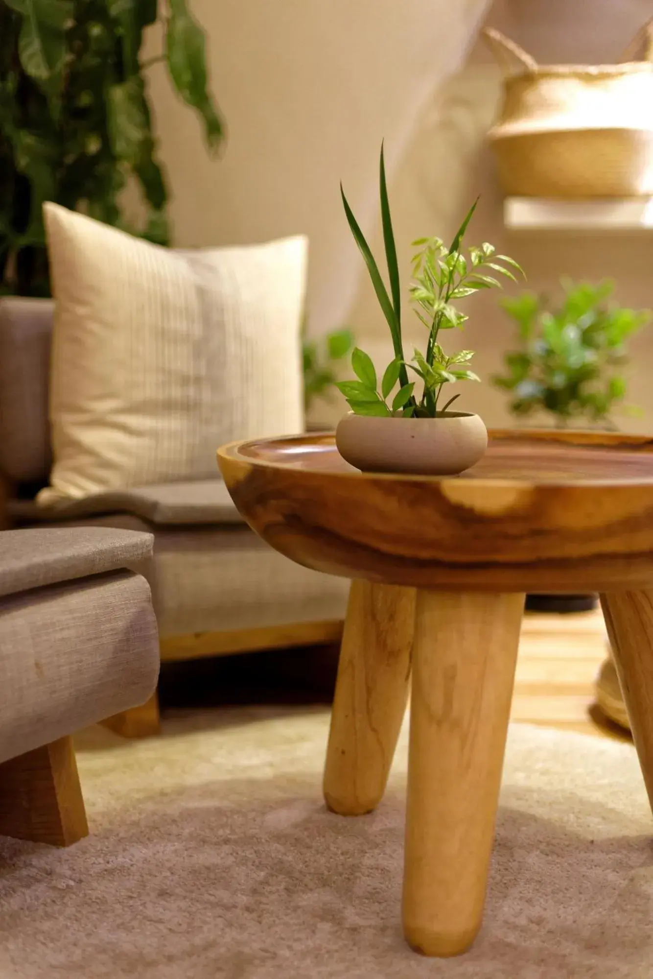 Lobby or reception in Sojourn Spa Hotel Ipoh Lobby or reception in Sojourn Spa Hotel Ipoh