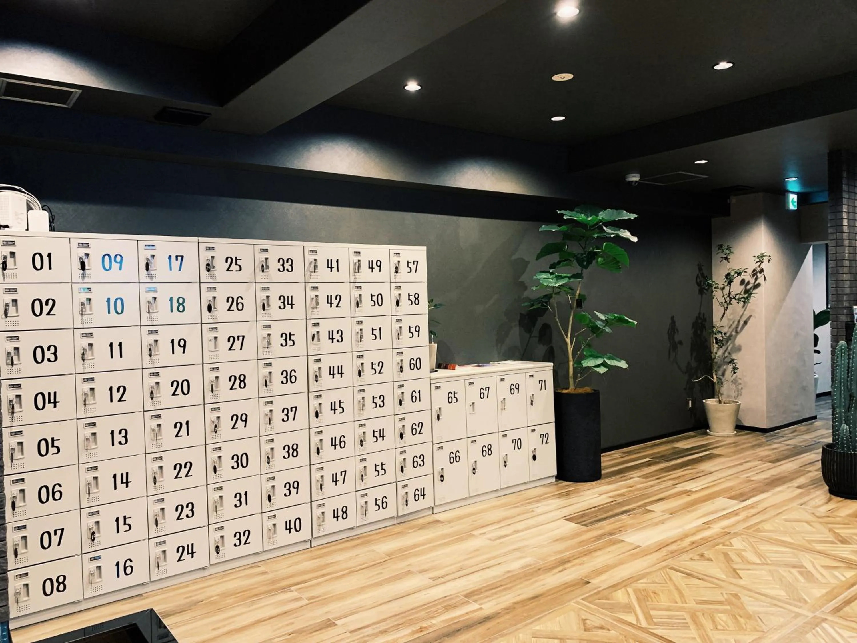 Hotel Capsule Inn Shizuoka