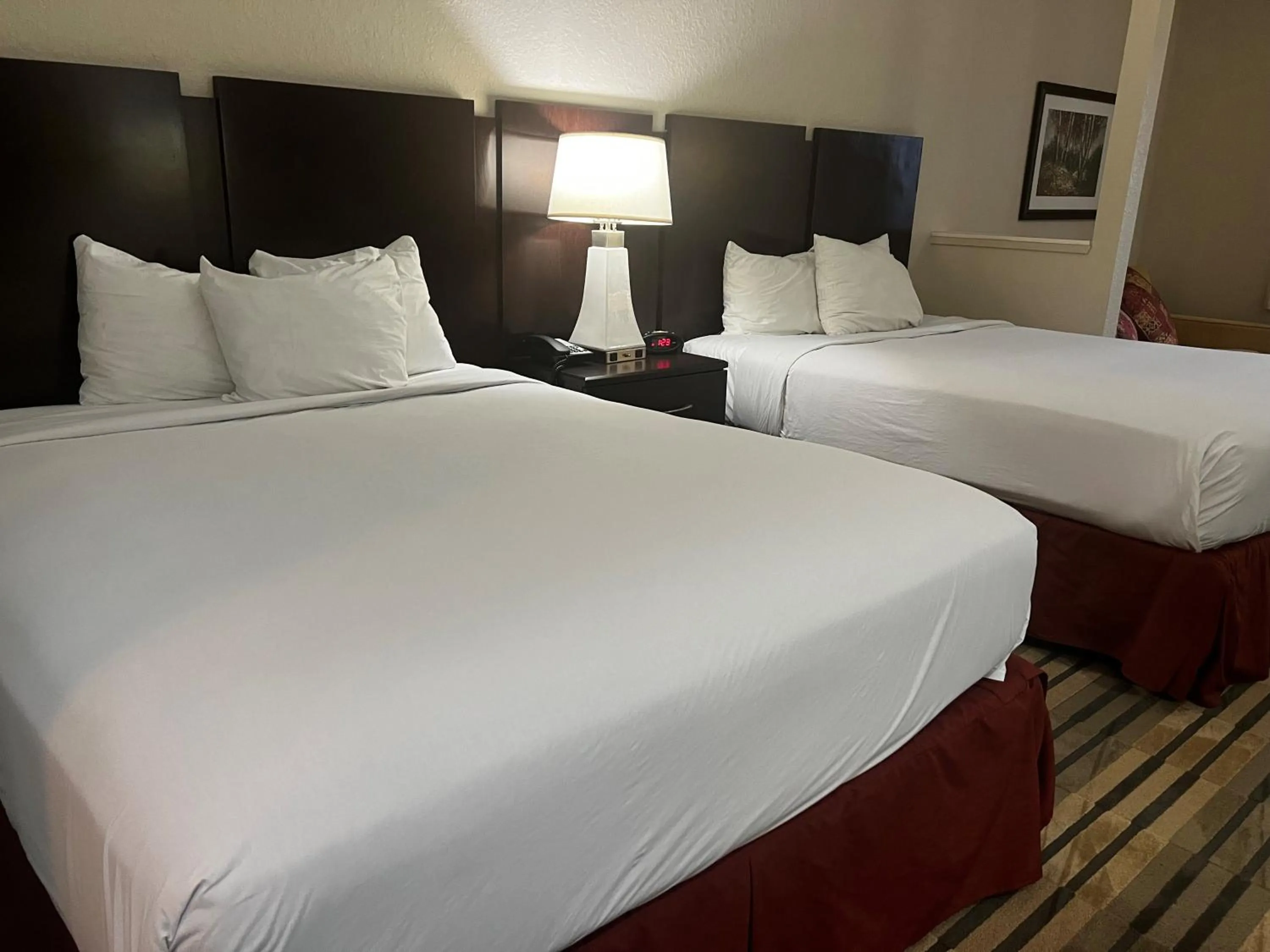 Bed in Baymont by Wyndham Houston/Westchase