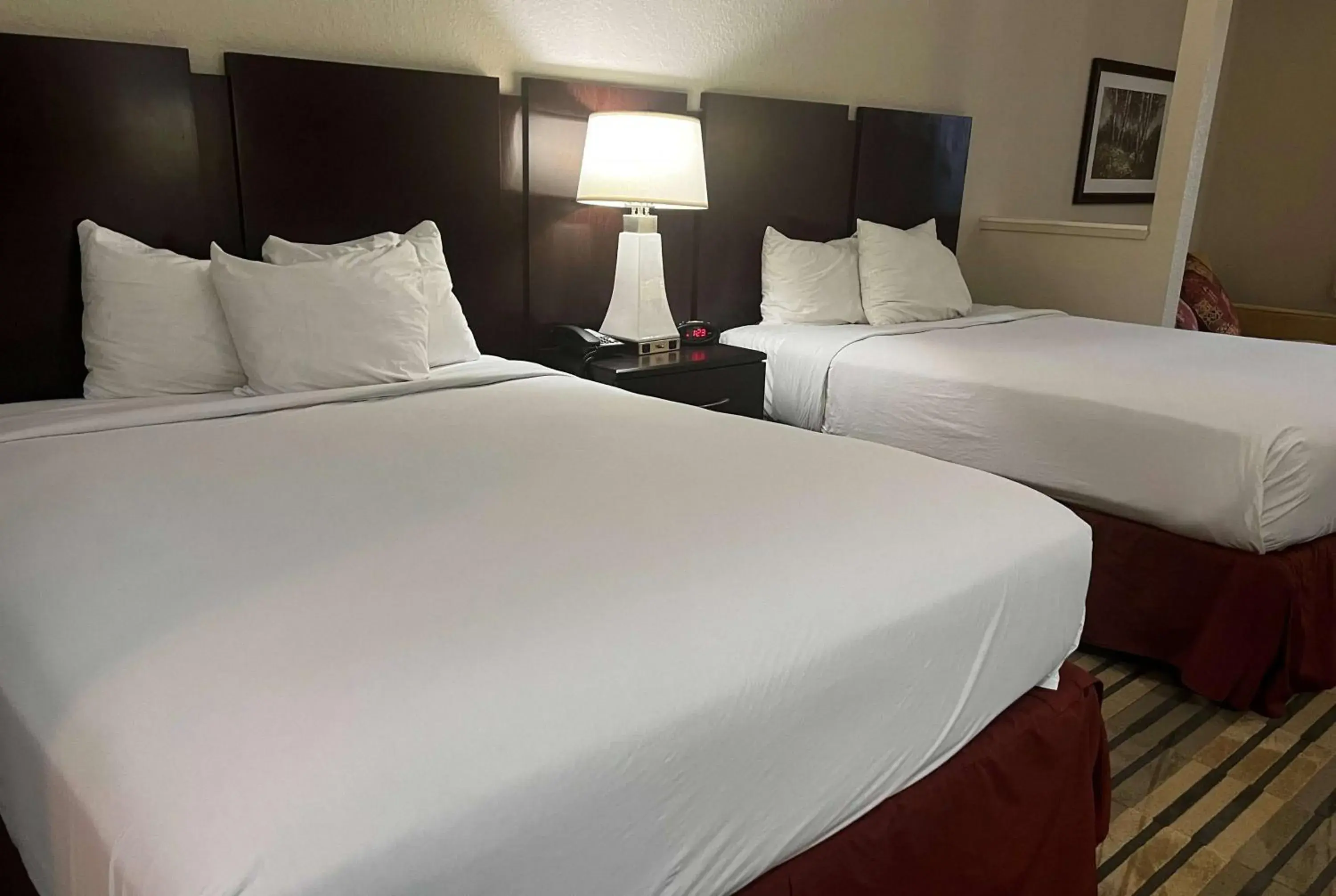 Photo of the whole room, Bed in Baymont by Wyndham Houston/Westchase Photo of the whole room, Bed in Baymont by Wyndham Houston/Westchase