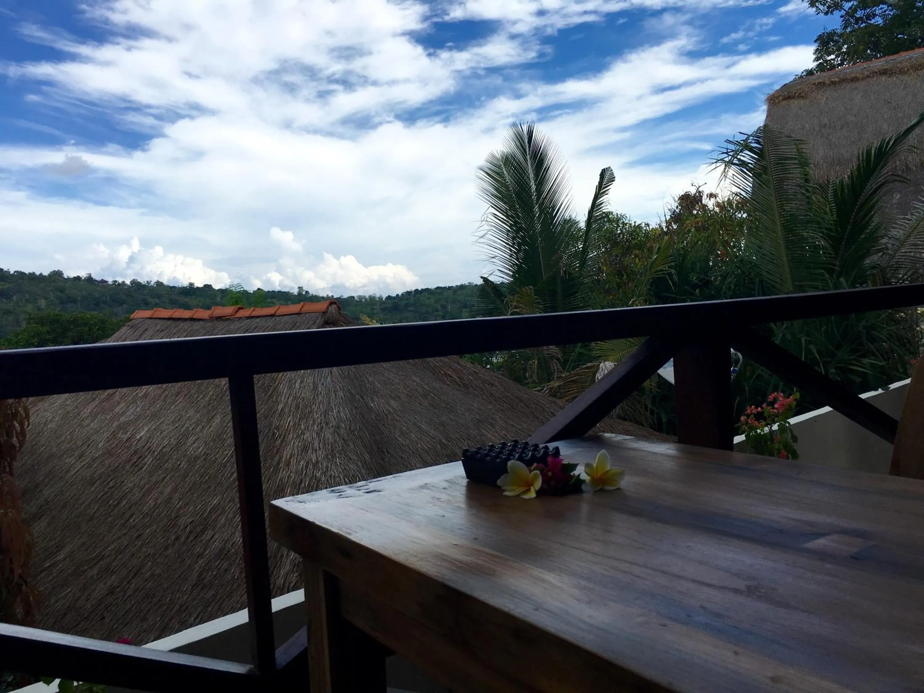 Balcony/Terrace in Twin Island Villas & Dive Resort