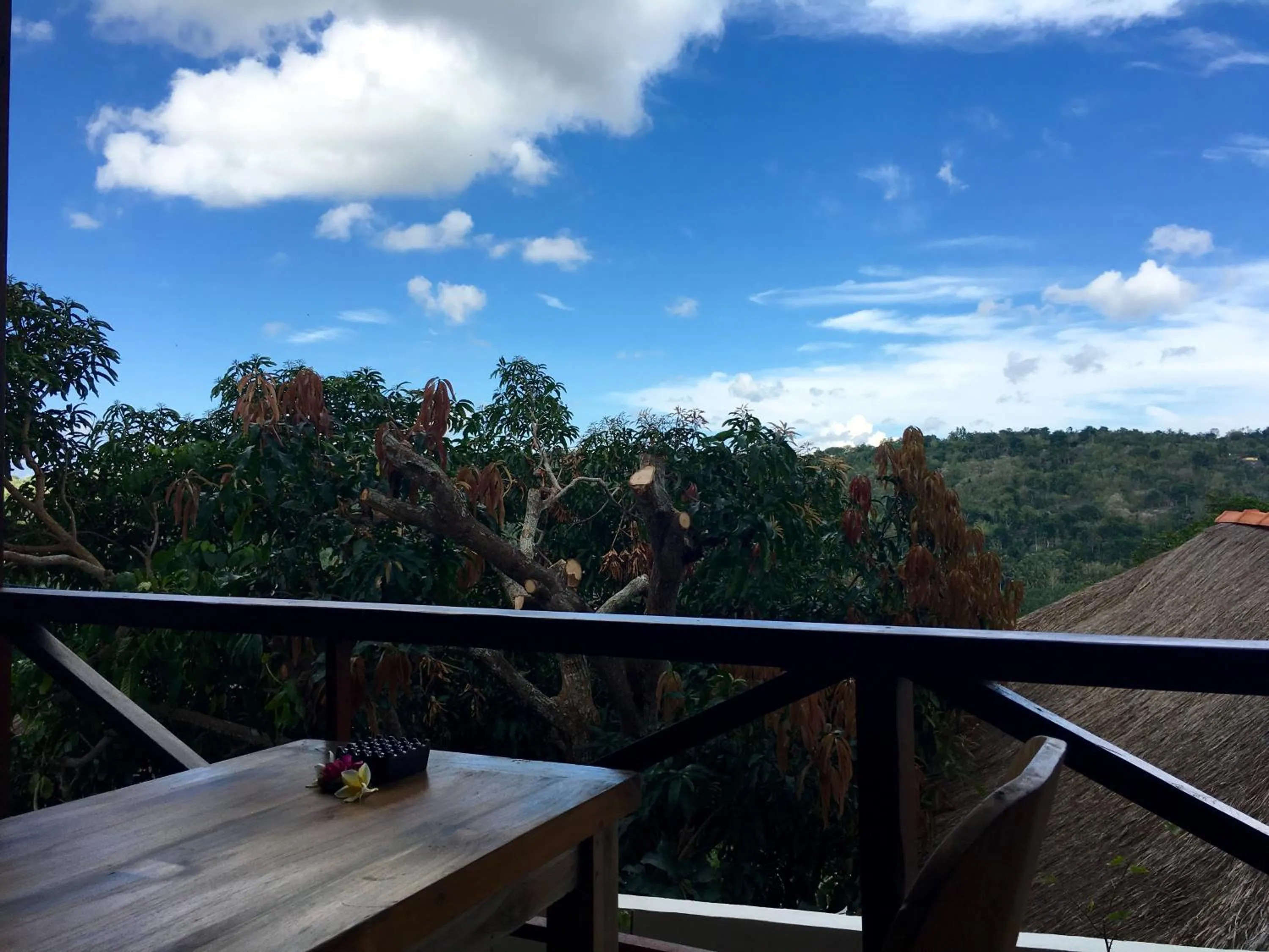 Balcony/Terrace in Twin Island Villas & Dive Resort