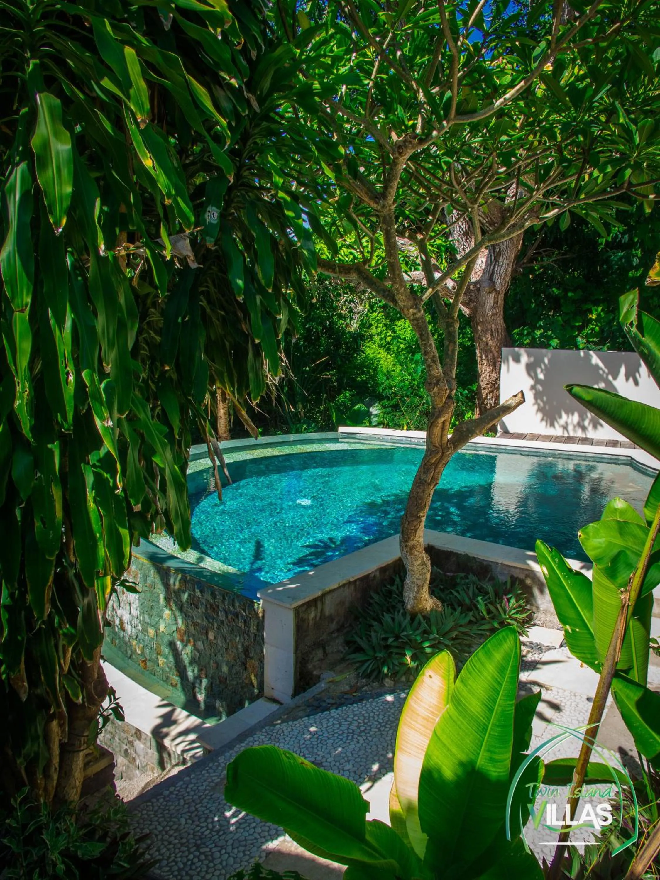 Garden view in Twin Island Villas & Dive Resort