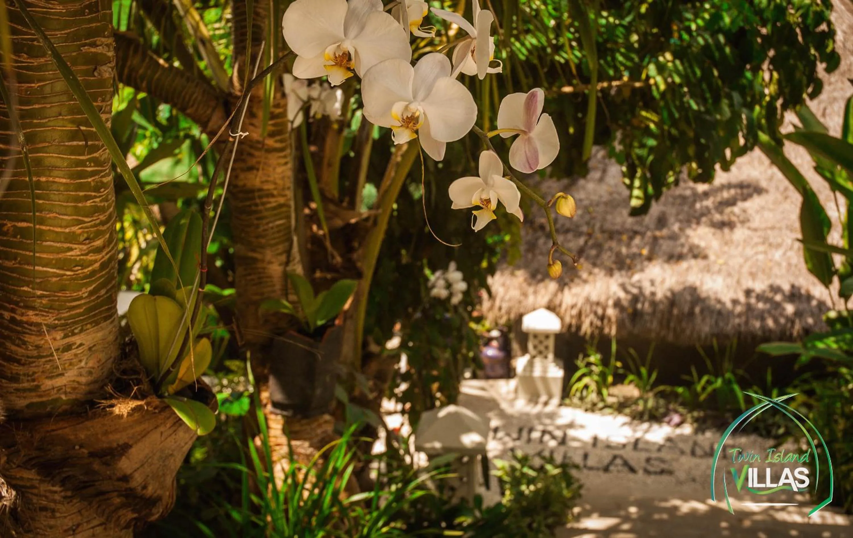 Garden in Twin Island Villas & Dive Resort