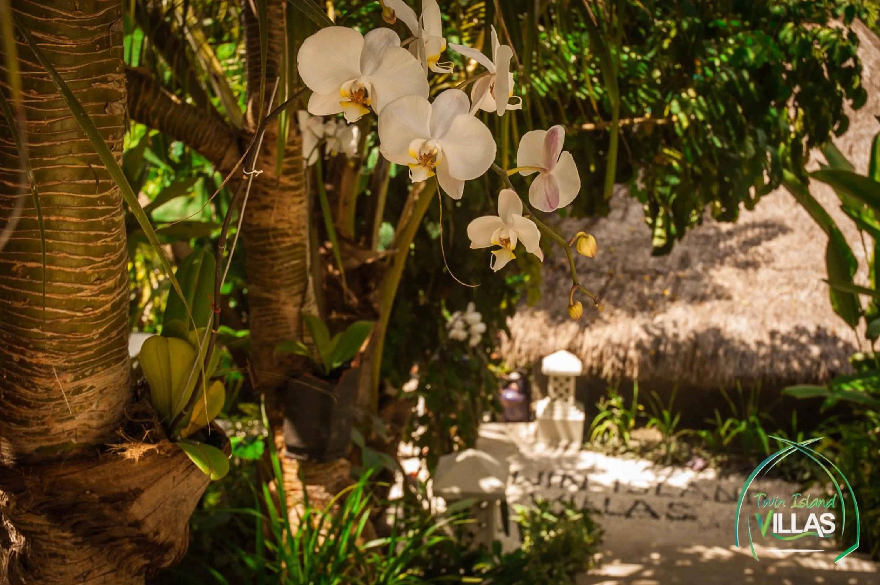 Garden in Twin Island Villas & Dive Resort