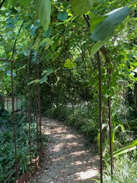 Garden in Le Clos des Queyries, Chambres d'Hôtes