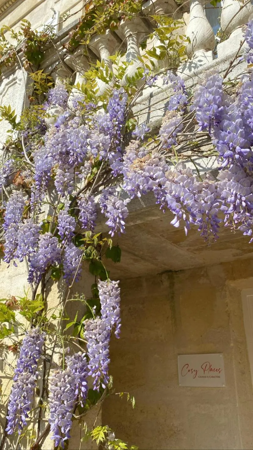 Garden in Le Clos des Queyries, Chambres d'Hôtes