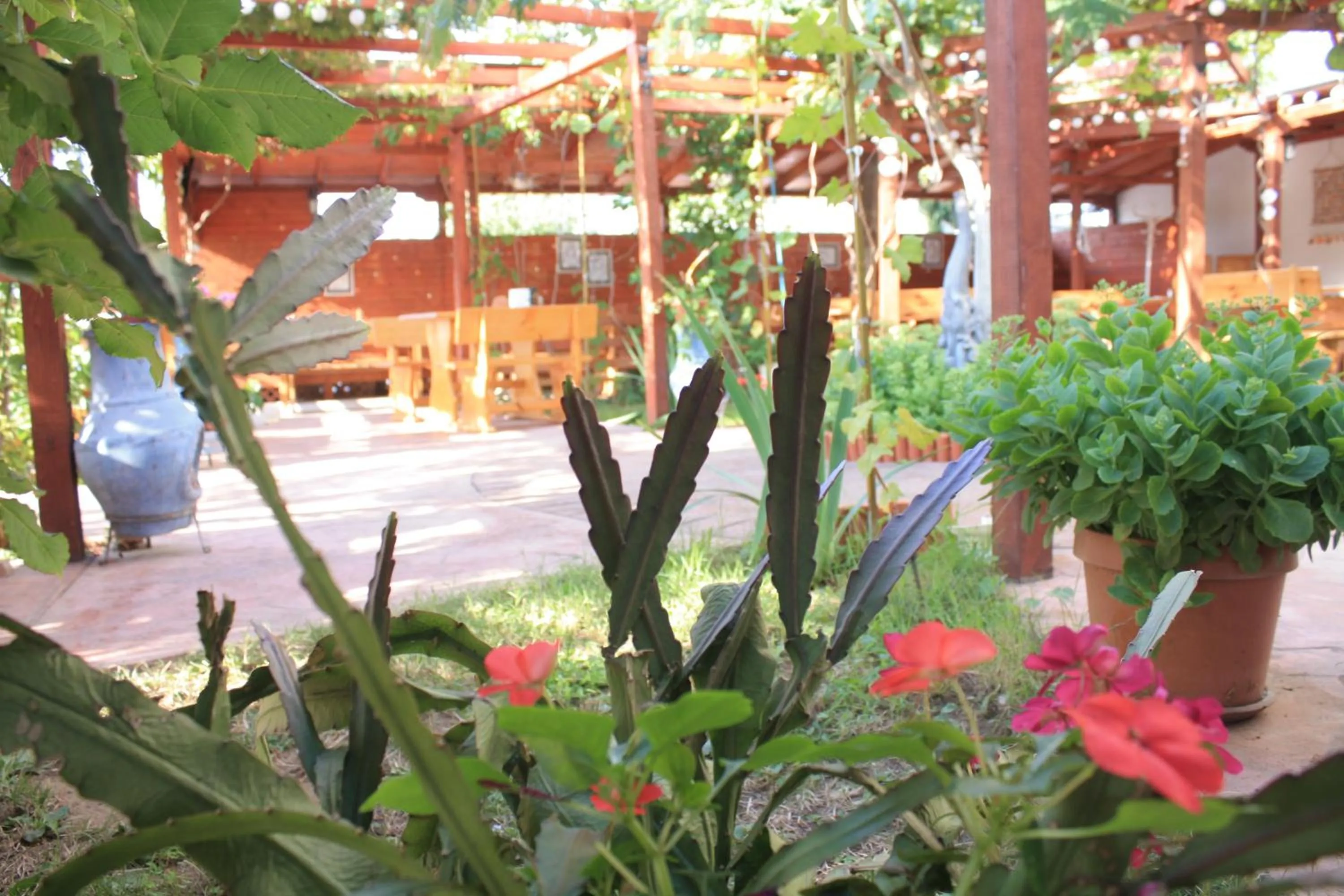 Alba Family Club Hotel