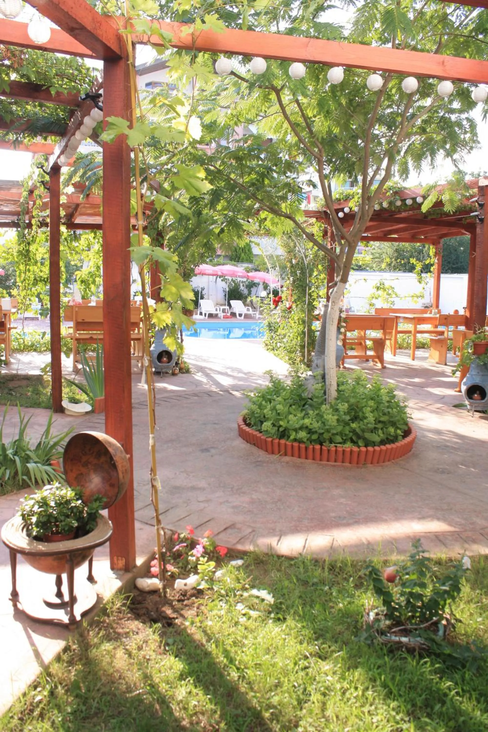 Alba Family Club Hotel