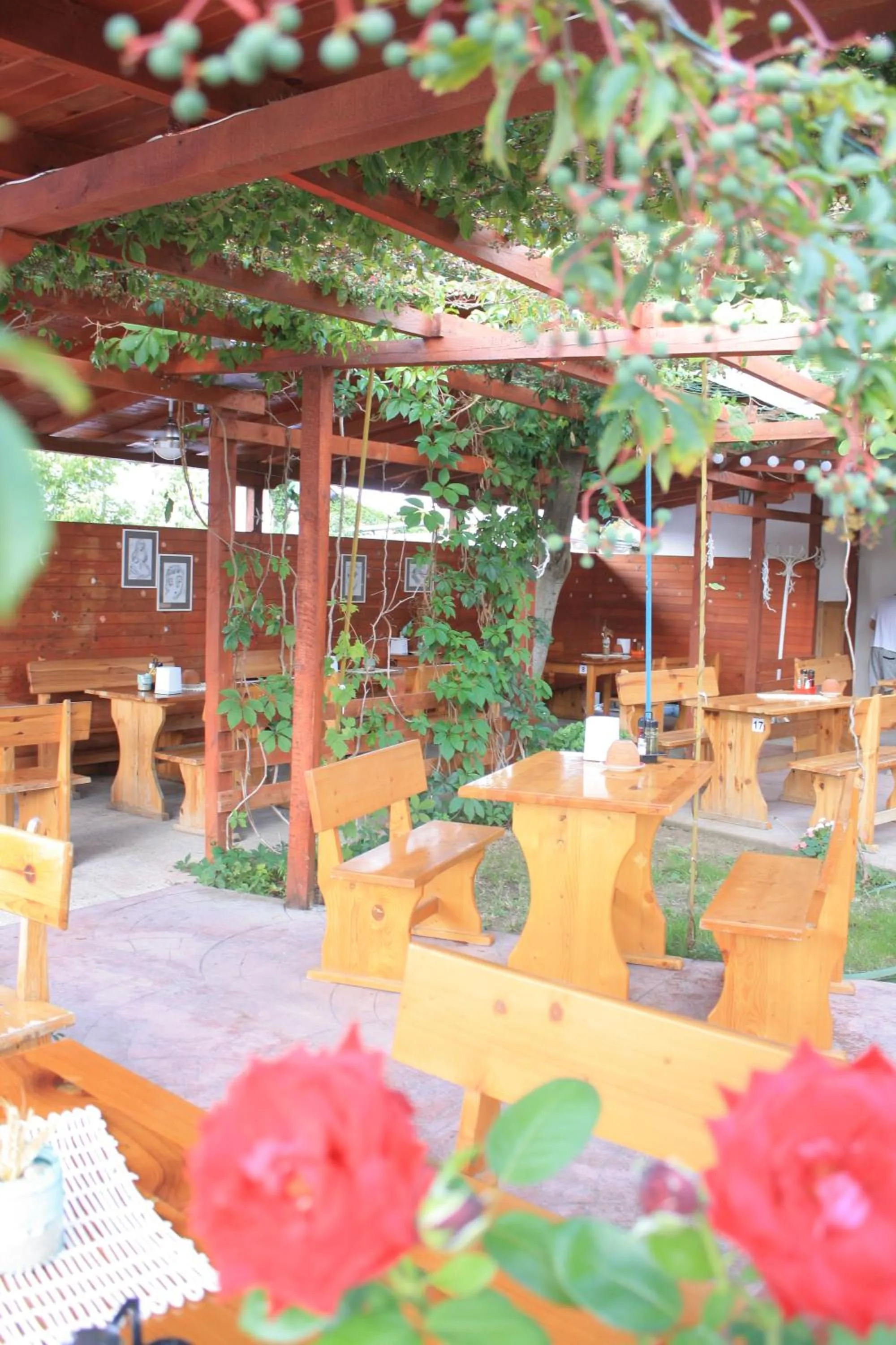 Alba Family Club Hotel