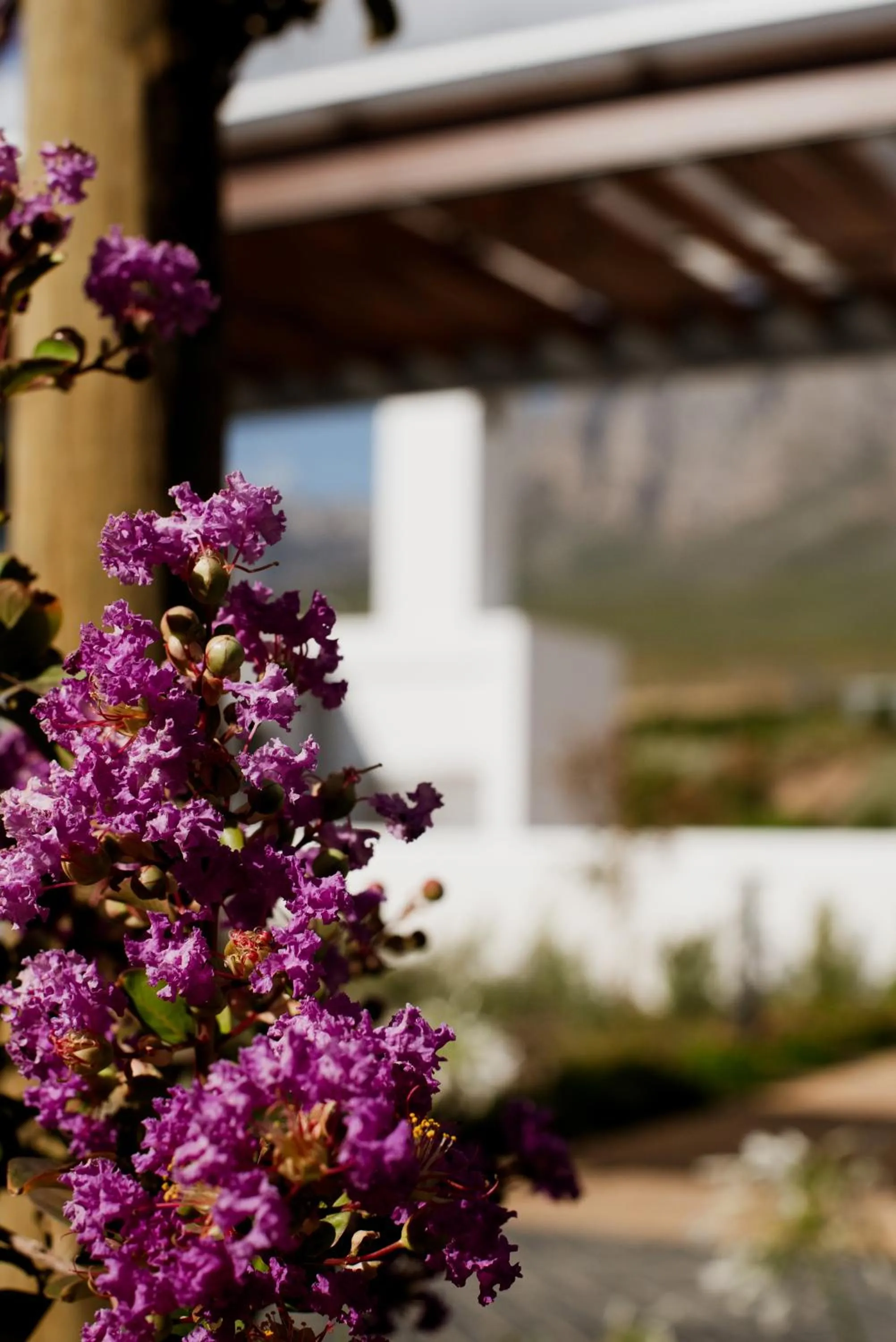 Garden in Bosjes - Herehuis