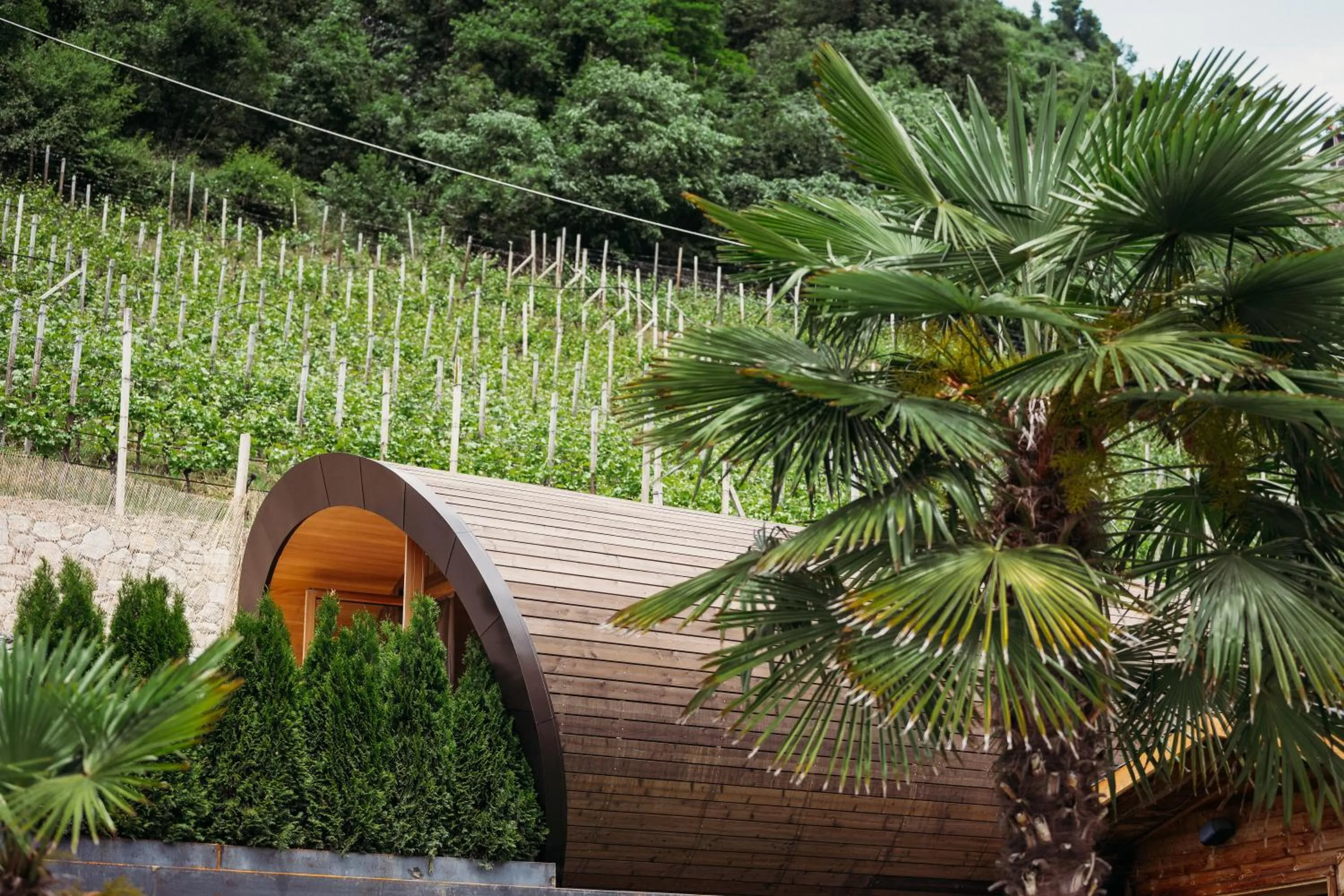 Garden in Weingut & Genusshotel Spitalerhof Superior