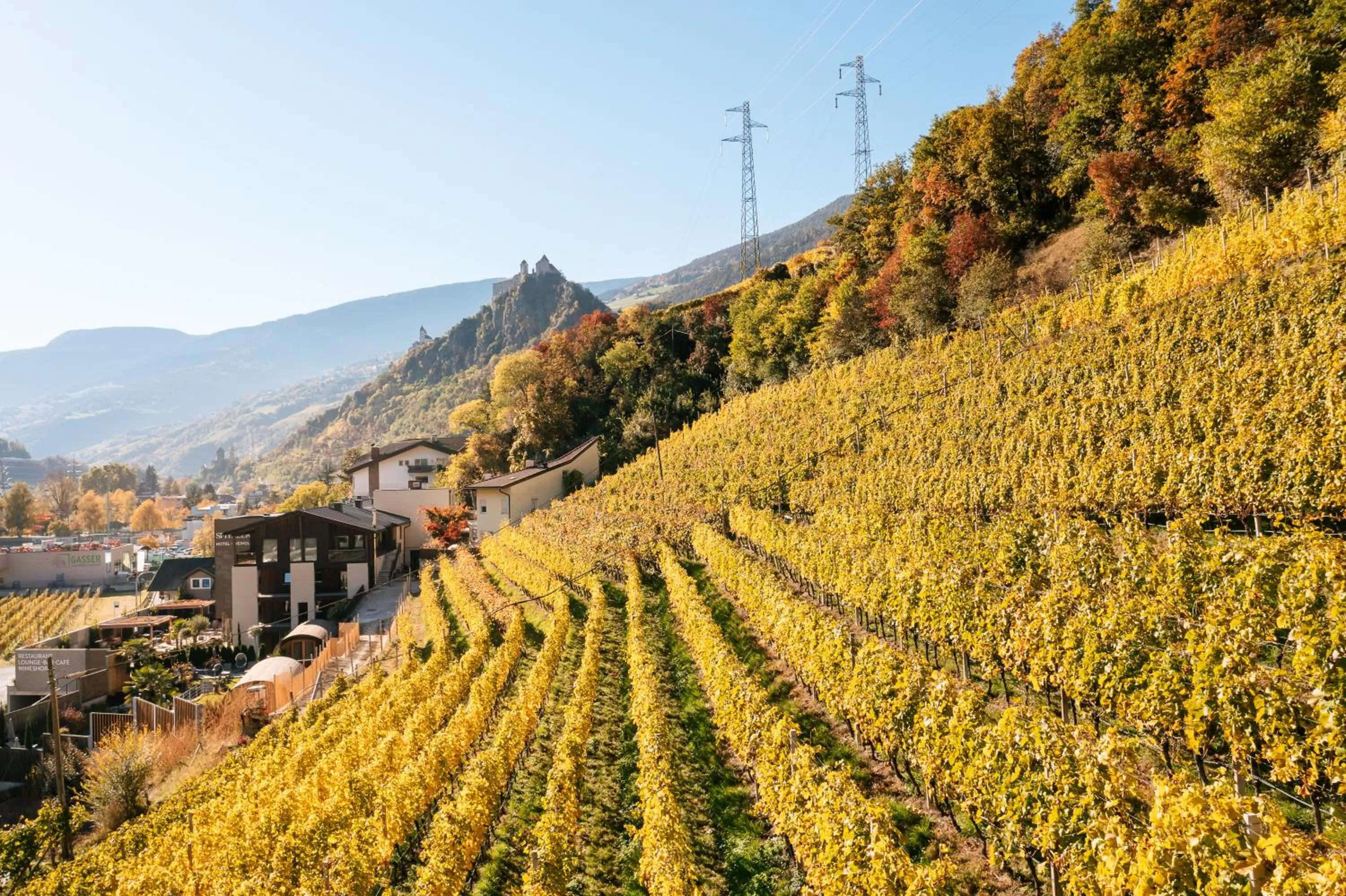 Property building in Weingut & Genusshotel Spitalerhof Superior