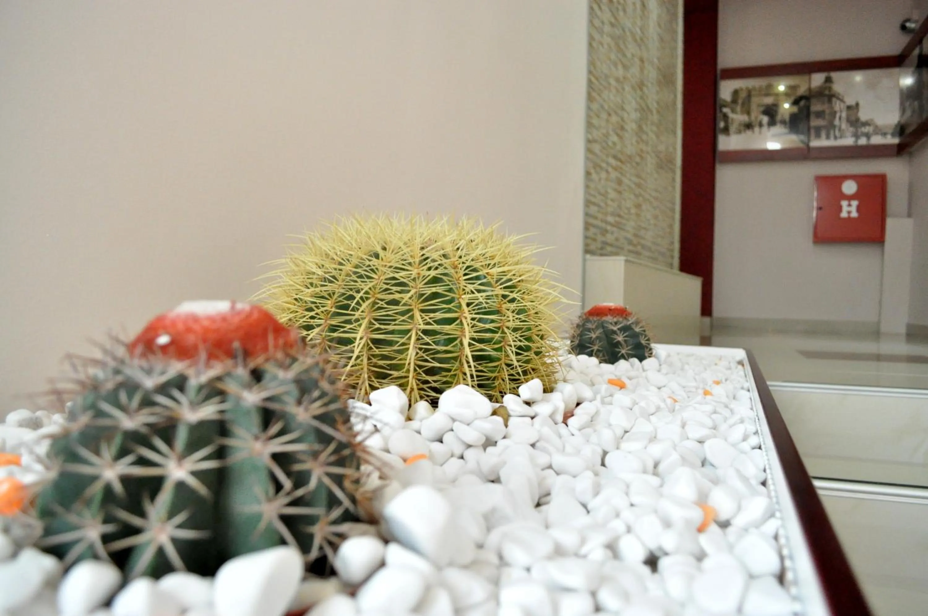 Decorative detail in Garni Hotel 018 In