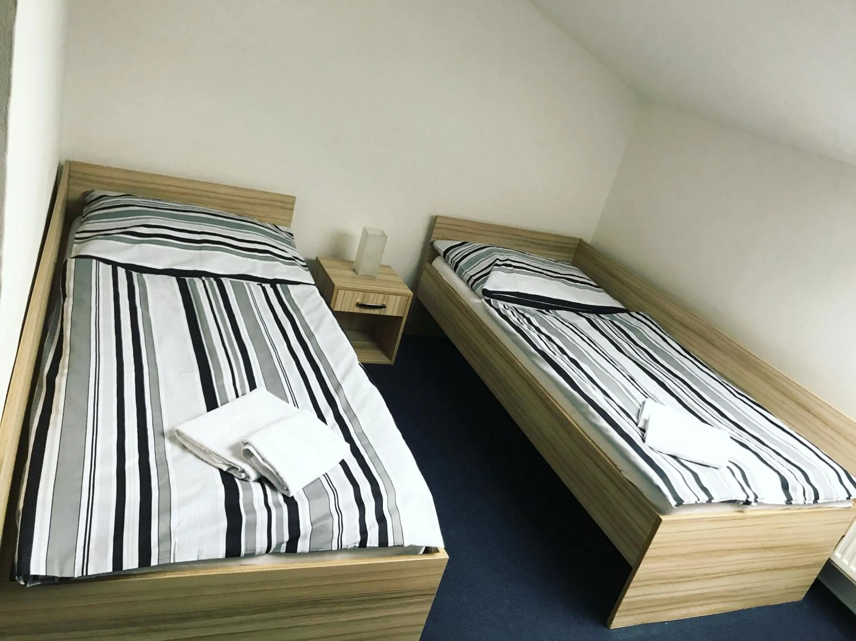 Twin Room - single occupancy in Penzion DMZ