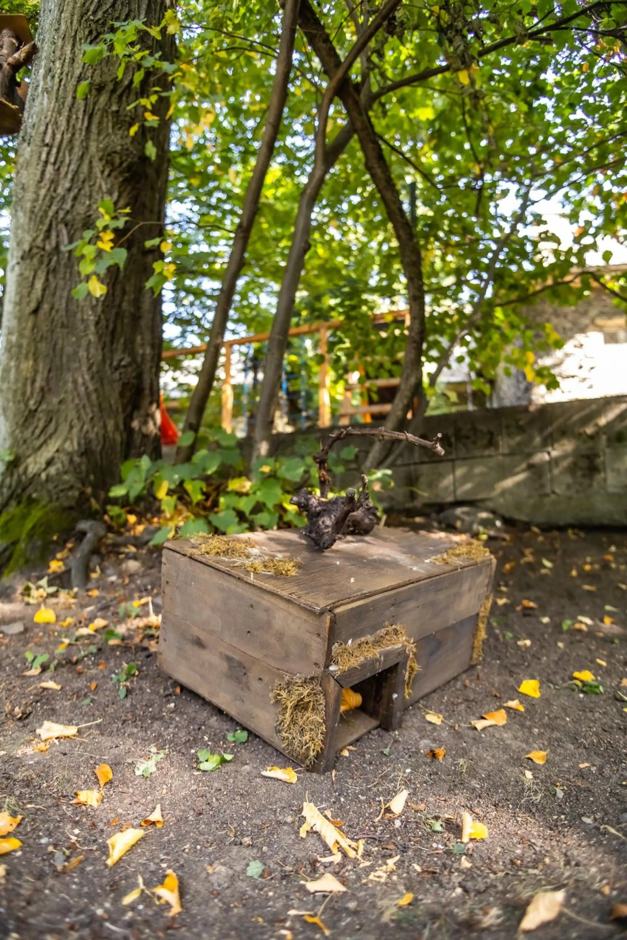 Garden in 4 Évszak Hegyihotel