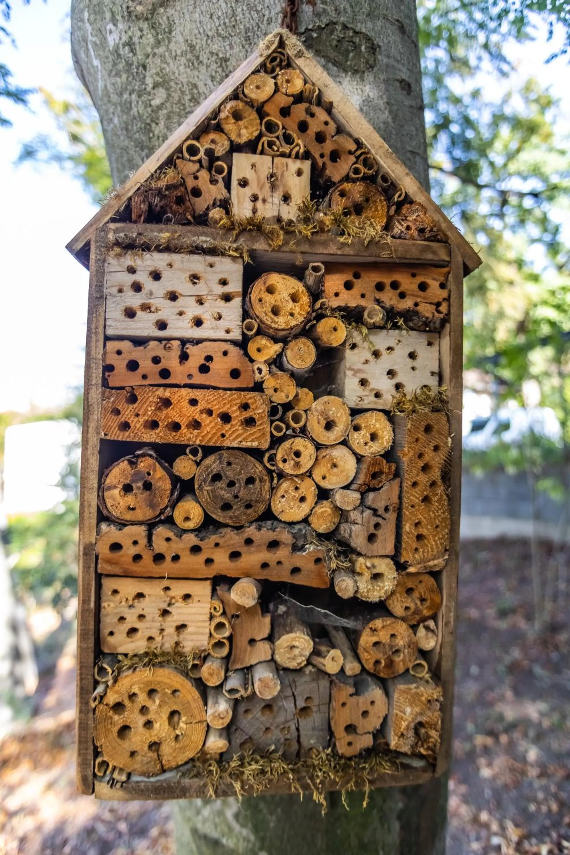 Garden in 4 Évszak Hegyihotel