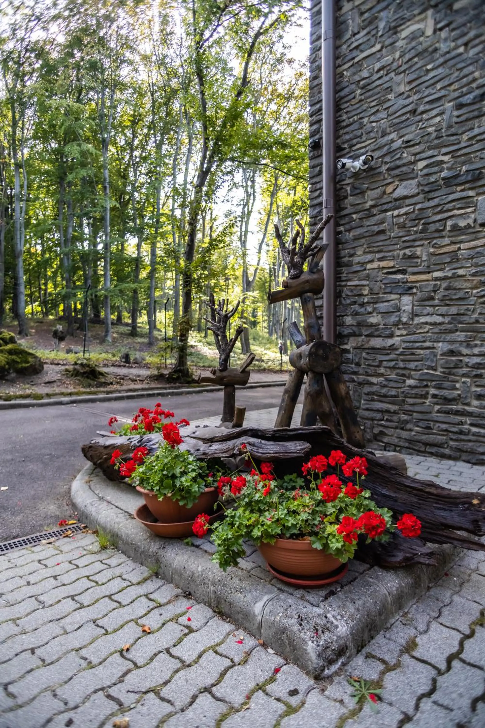 Other in 4 Évszak Hegyihotel