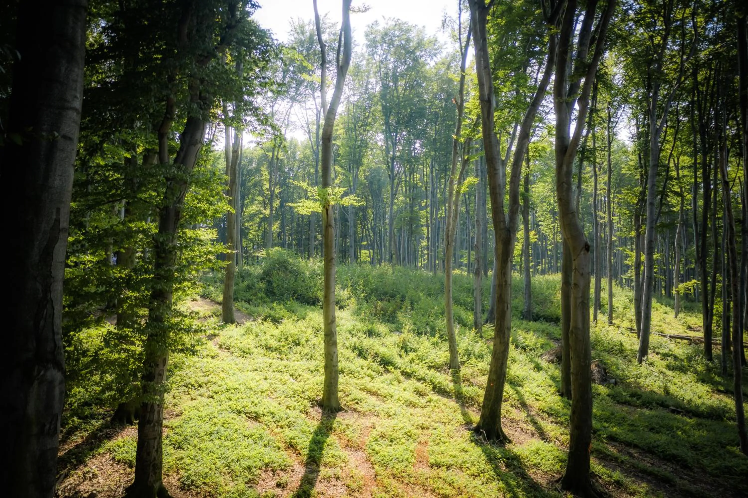 Off site in 4 Évszak Hegyihotel