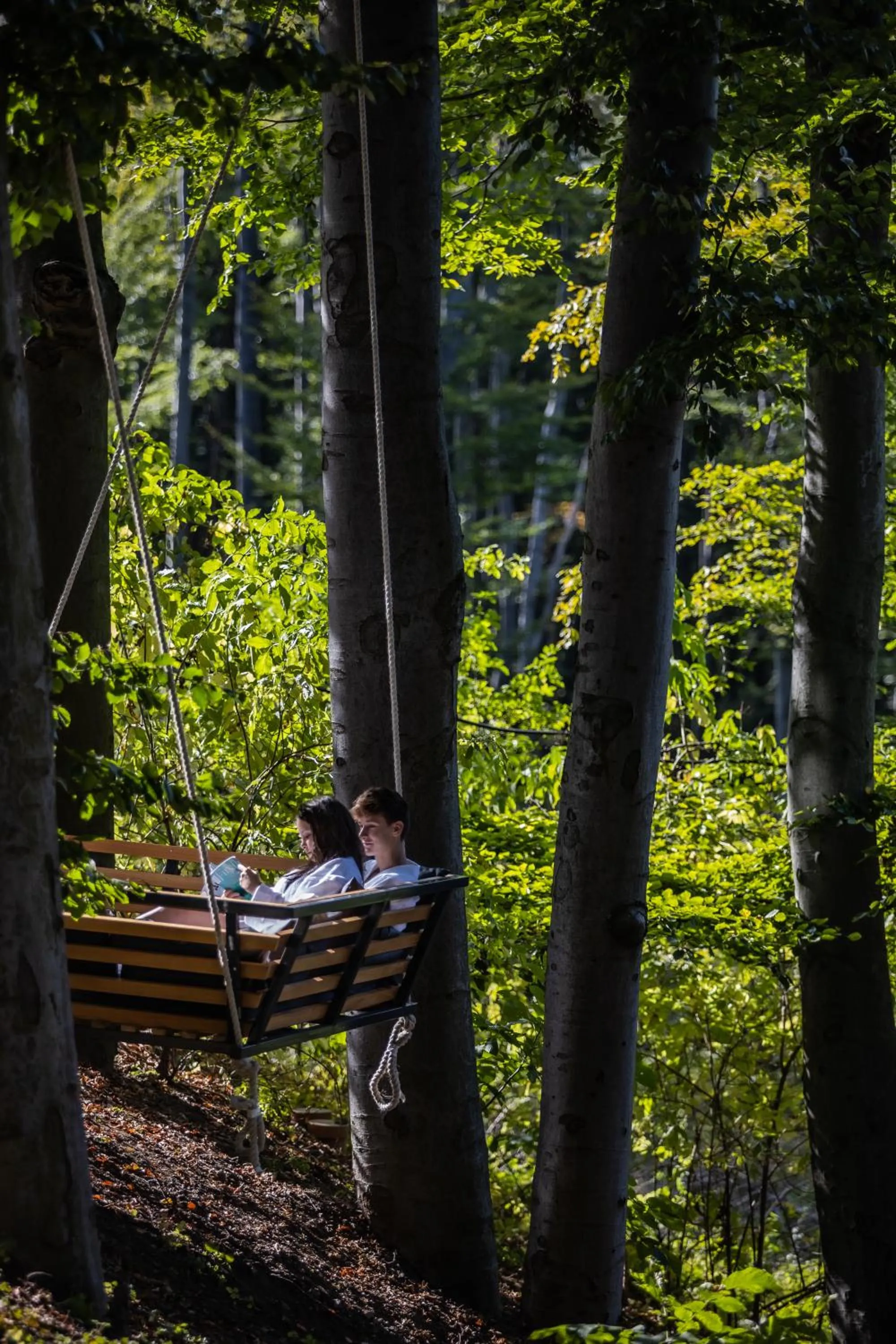 Day in 4 Évszak Hegyihotel