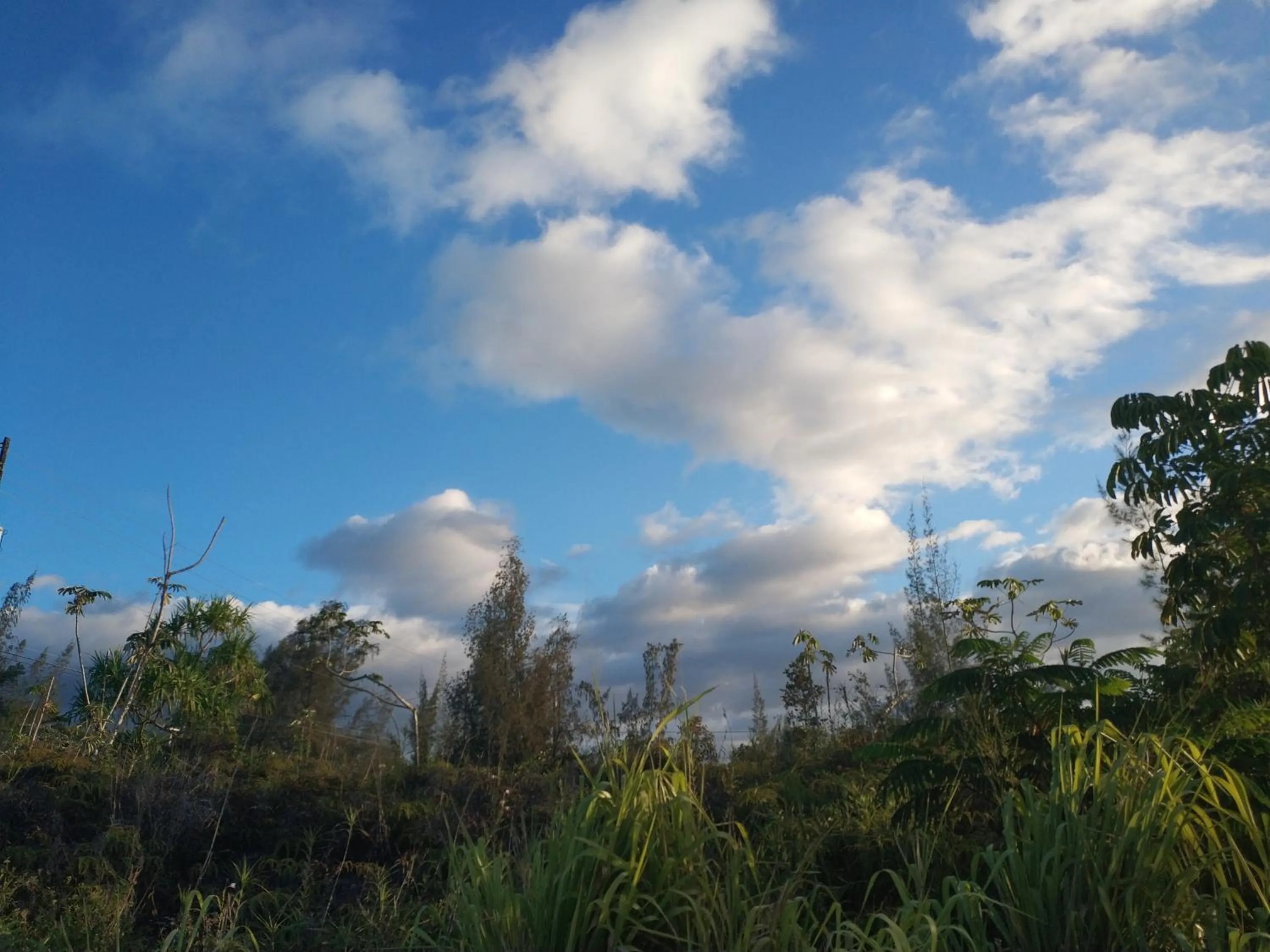 Patio in Ocean Breeze Inn