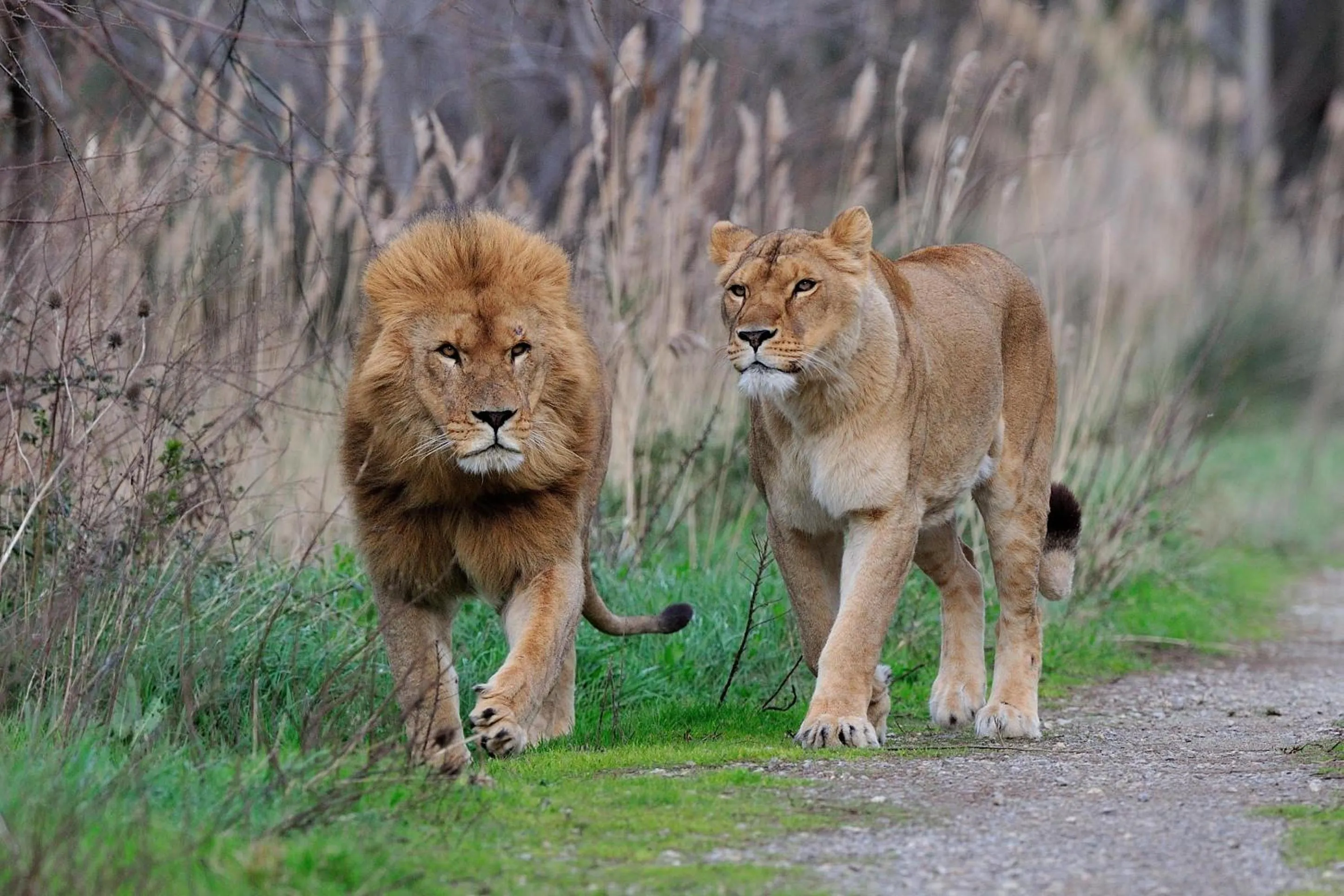 Nearby landmark in Abitarela - Maison d'Hôtes - B&B