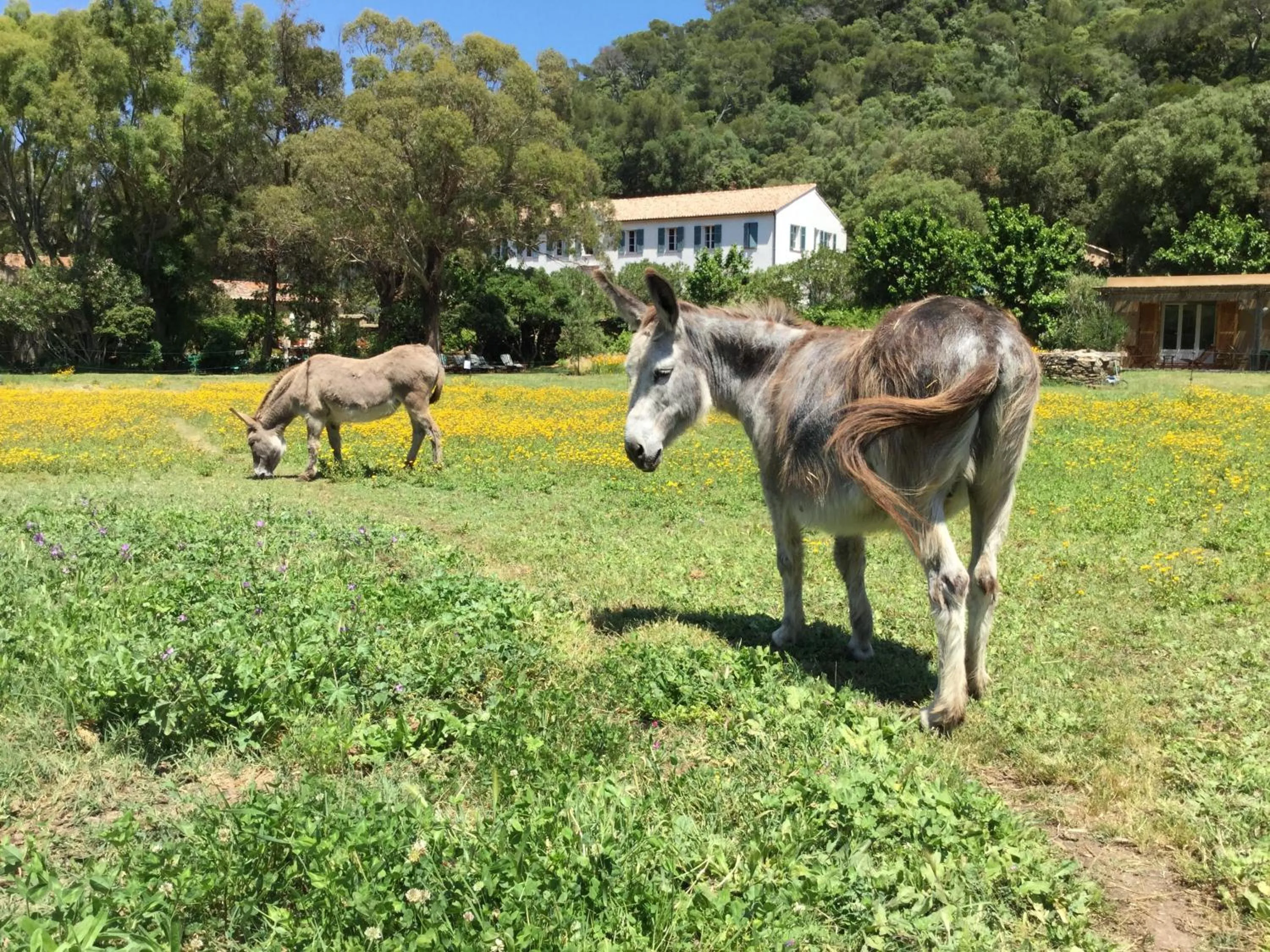 Day in Le Manoir de Port-Cros