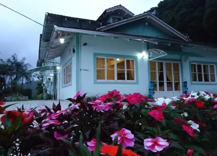 Hotel Alpinus Hotel Alpinus