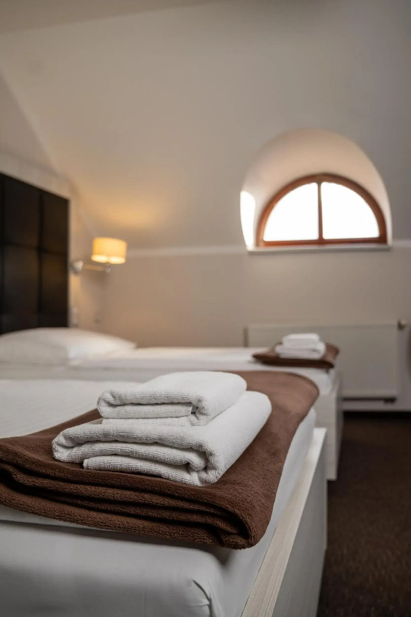 Twin Deluxe Attic Room - single occupancy in Hotel Grunt Twin Deluxe Attic Room - single occupancy in Hotel Grunt