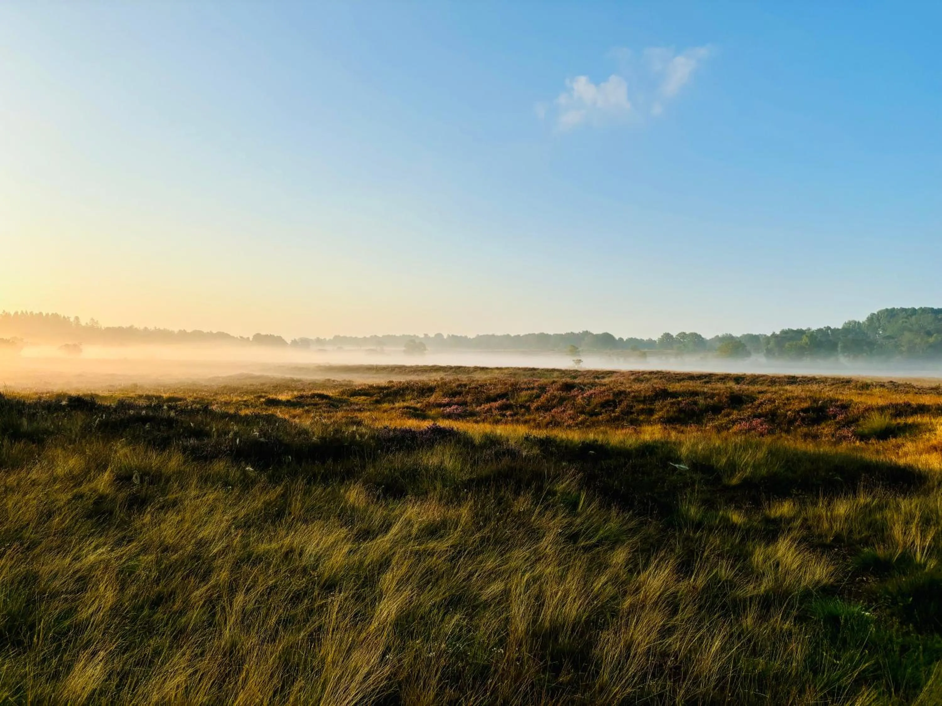 Natural landscape in De Veurdeale