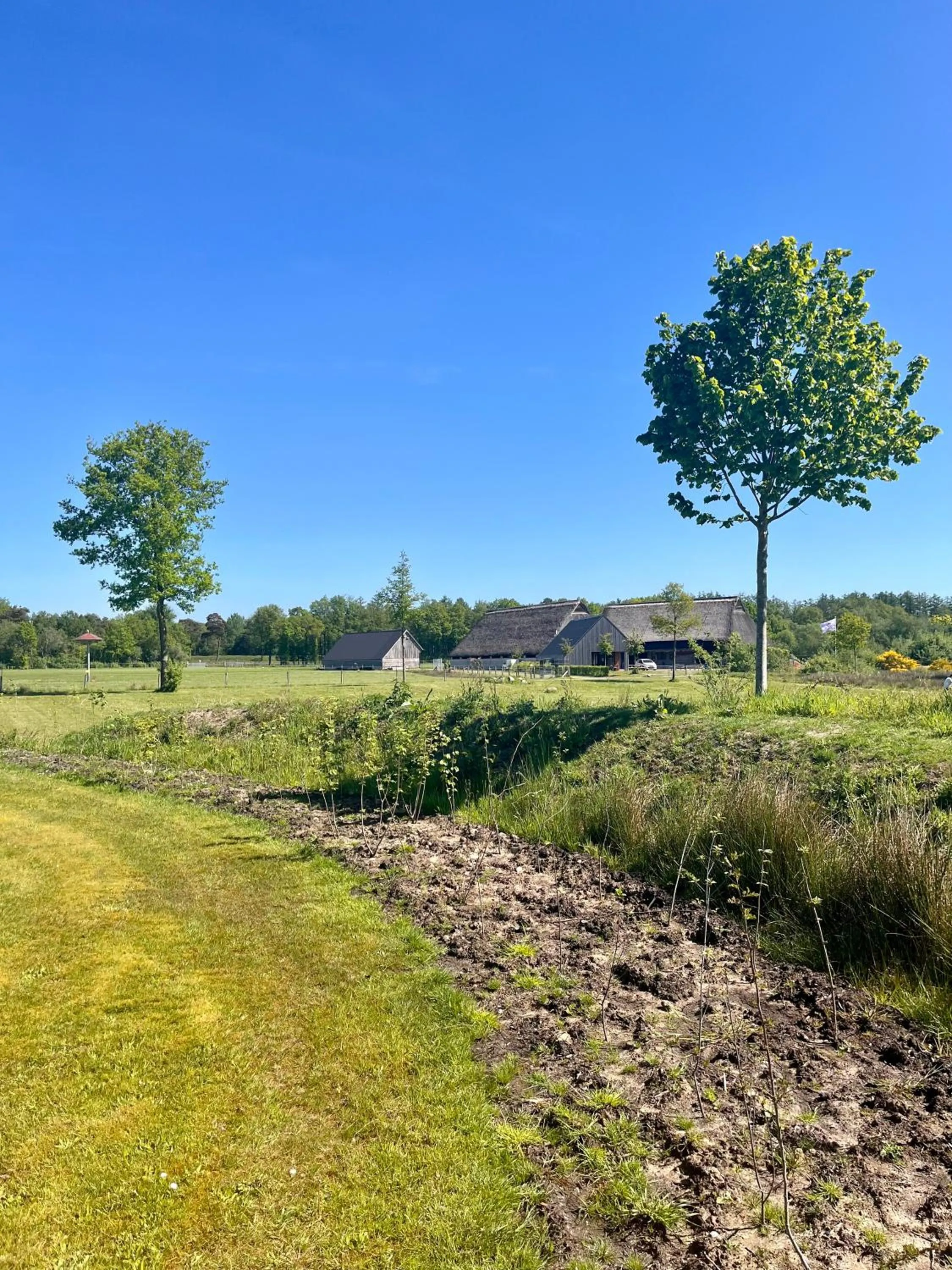 Natural landscape in De Veurdeale