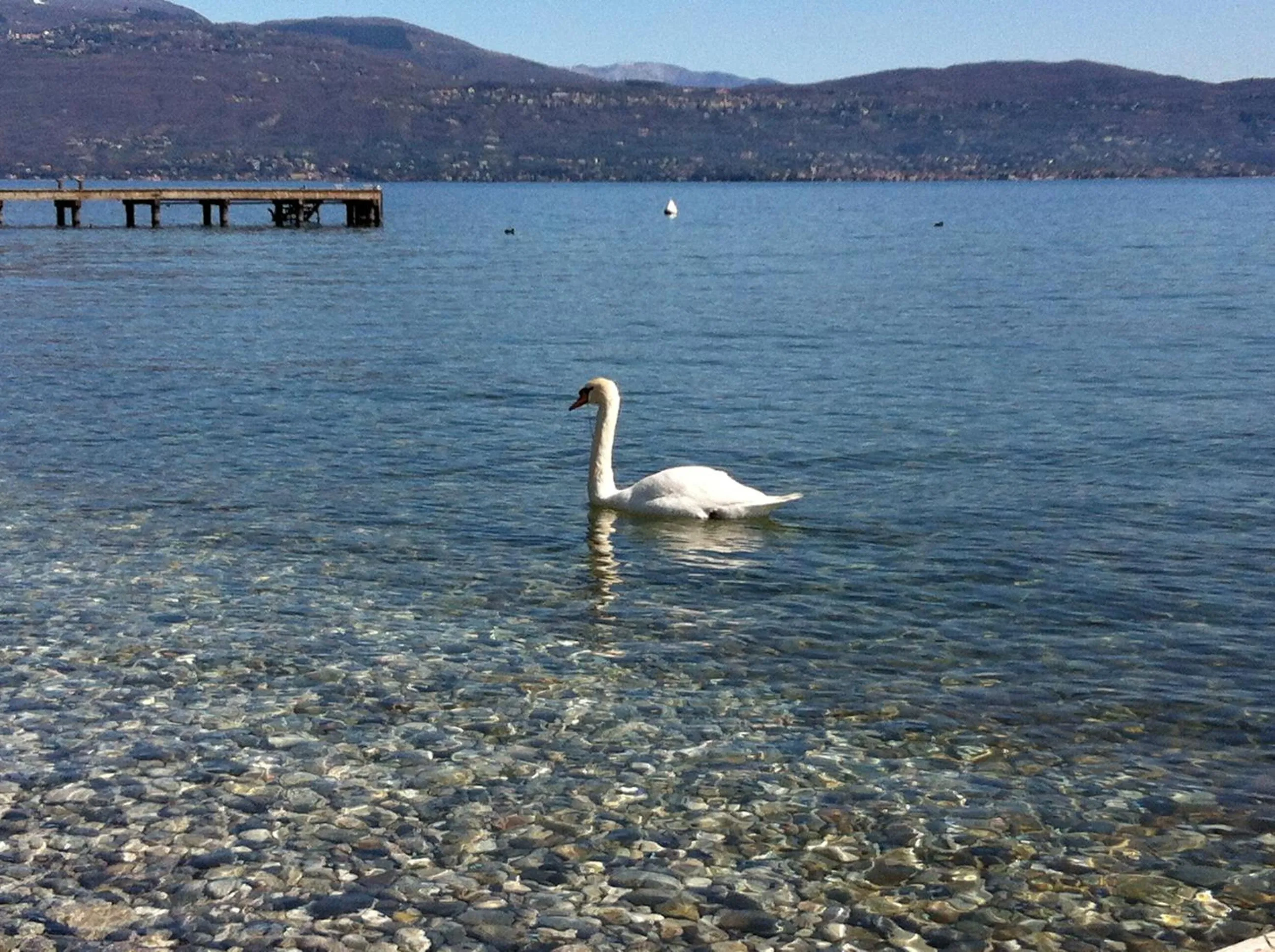 Area and facilities in Bed & Breakfast Giardini di Corte